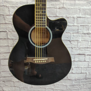 Ibanez AEG5 Thinline Acoustic Guitar