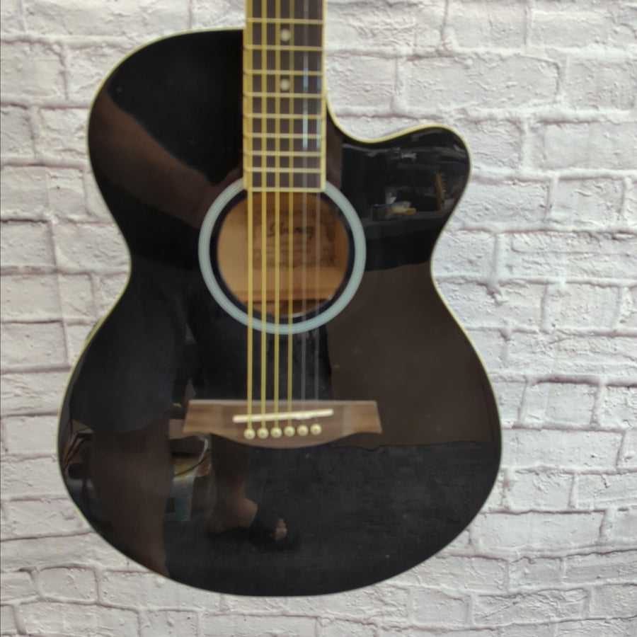 Ibanez AEG5 Thinline Acoustic Guitar