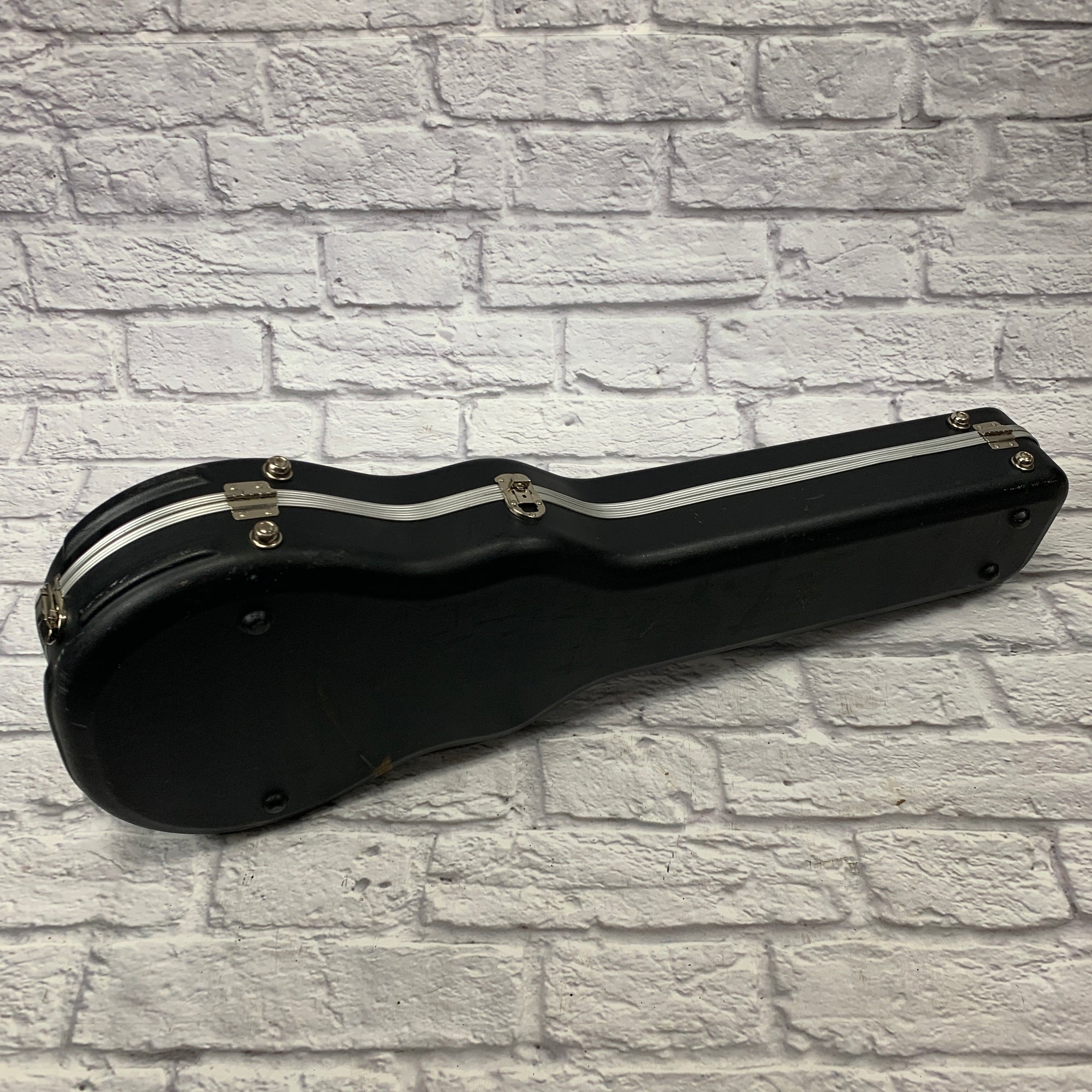 Road Runner LP Style Hard Case