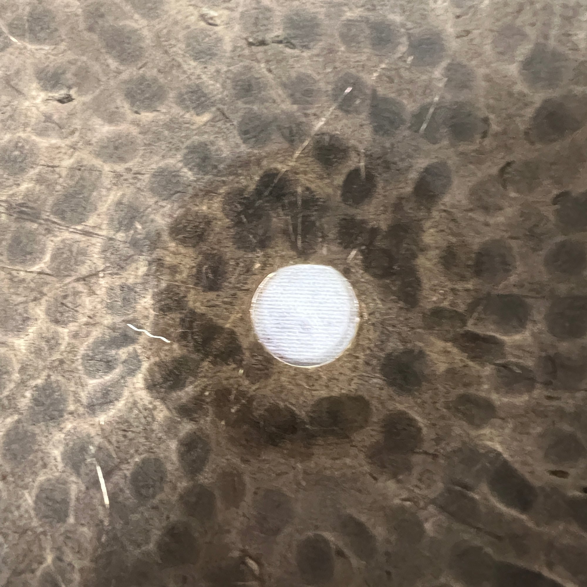 Sabian 21 HHX Medium Complex Ride Cymbal