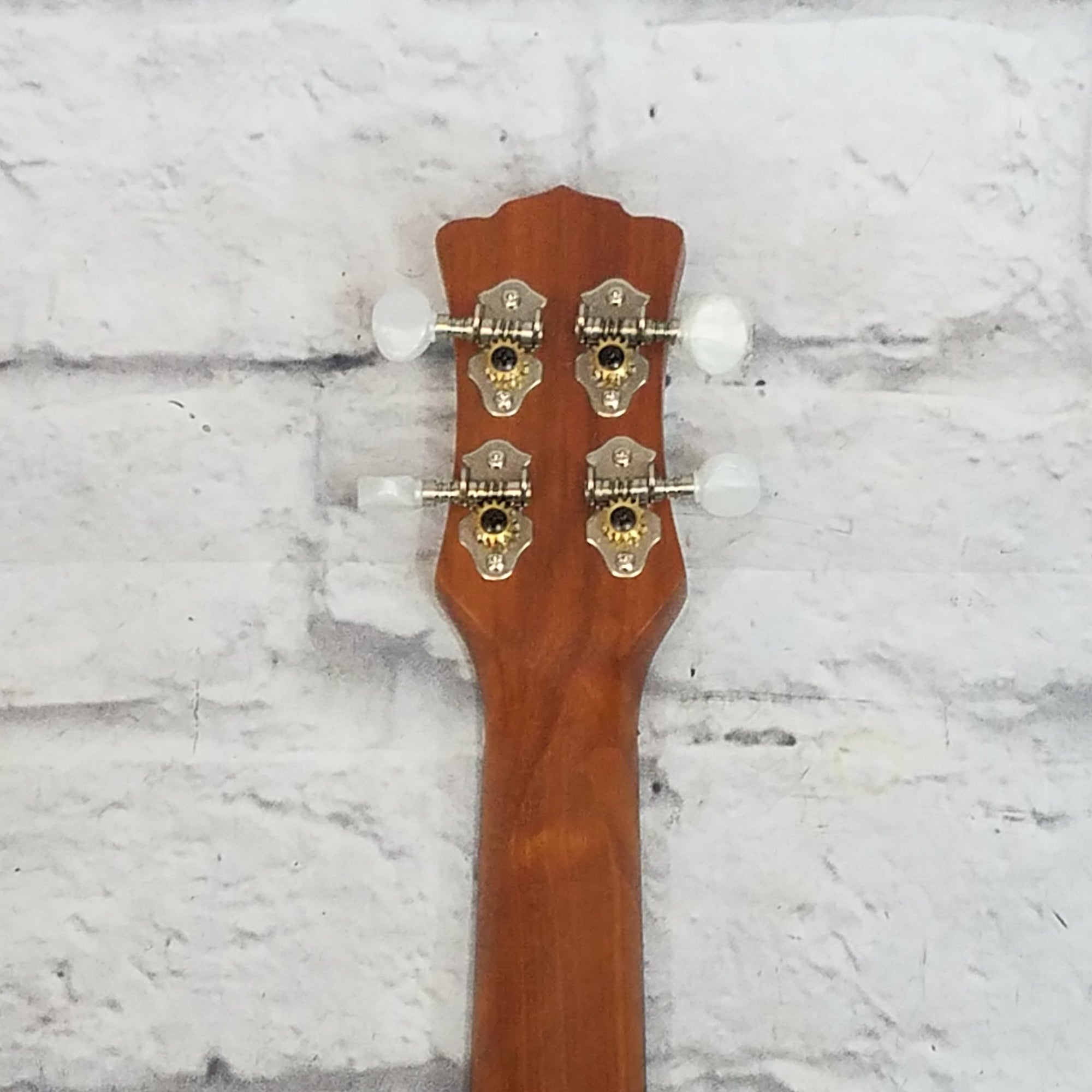 Luna Tenor Ukulele w/ Bag