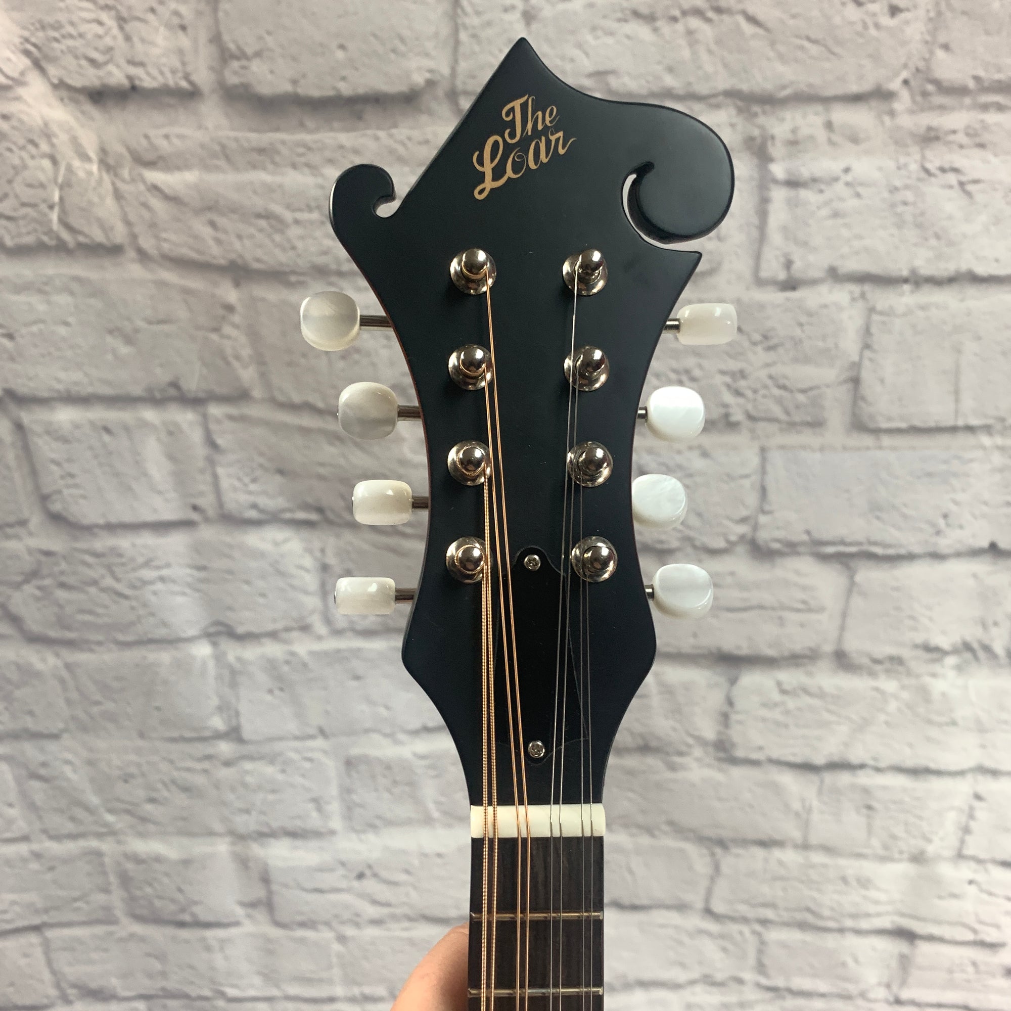 Loar LM310F F Style Mandolin