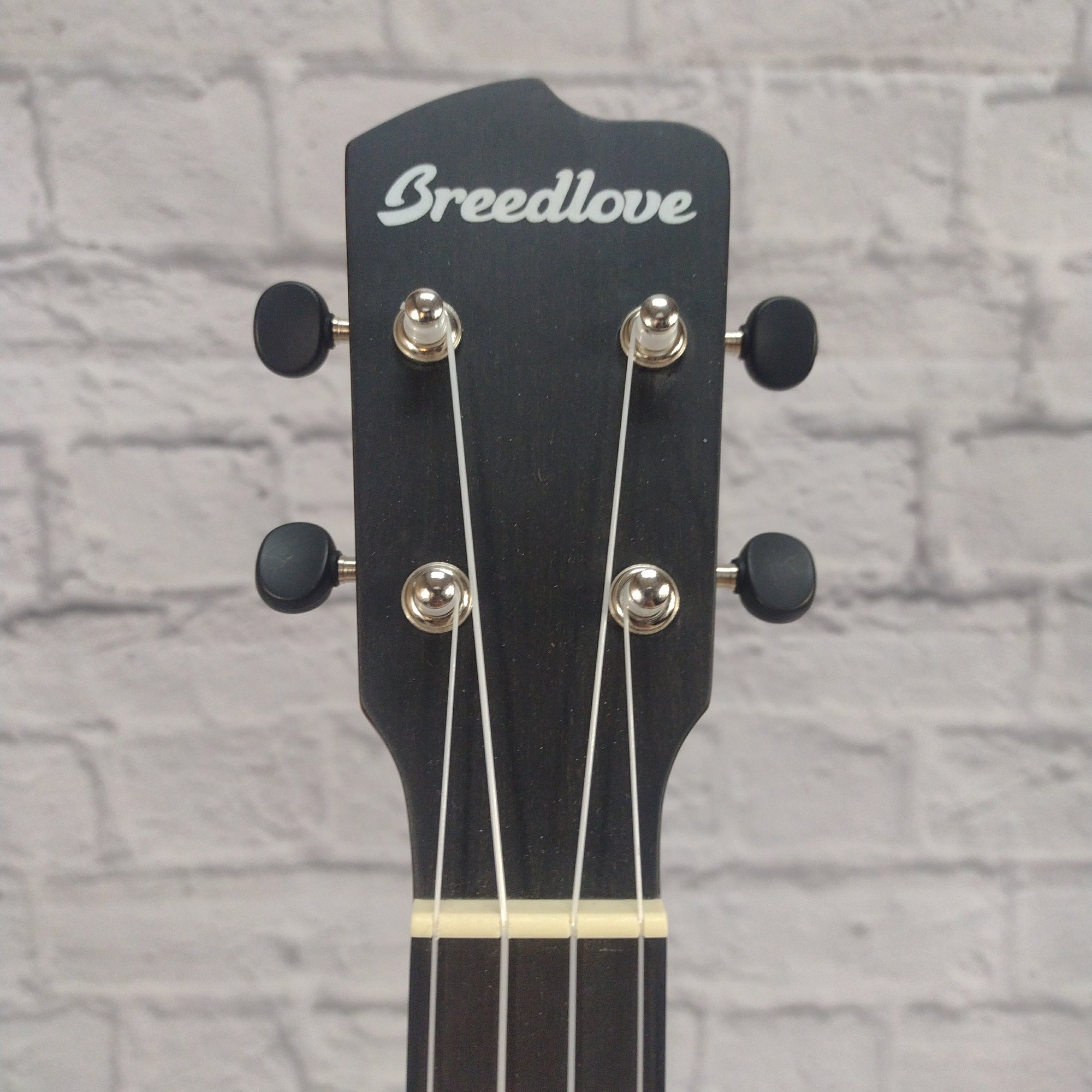 Breedlove Pursuit EX S Tenor TE CE Ukuleles