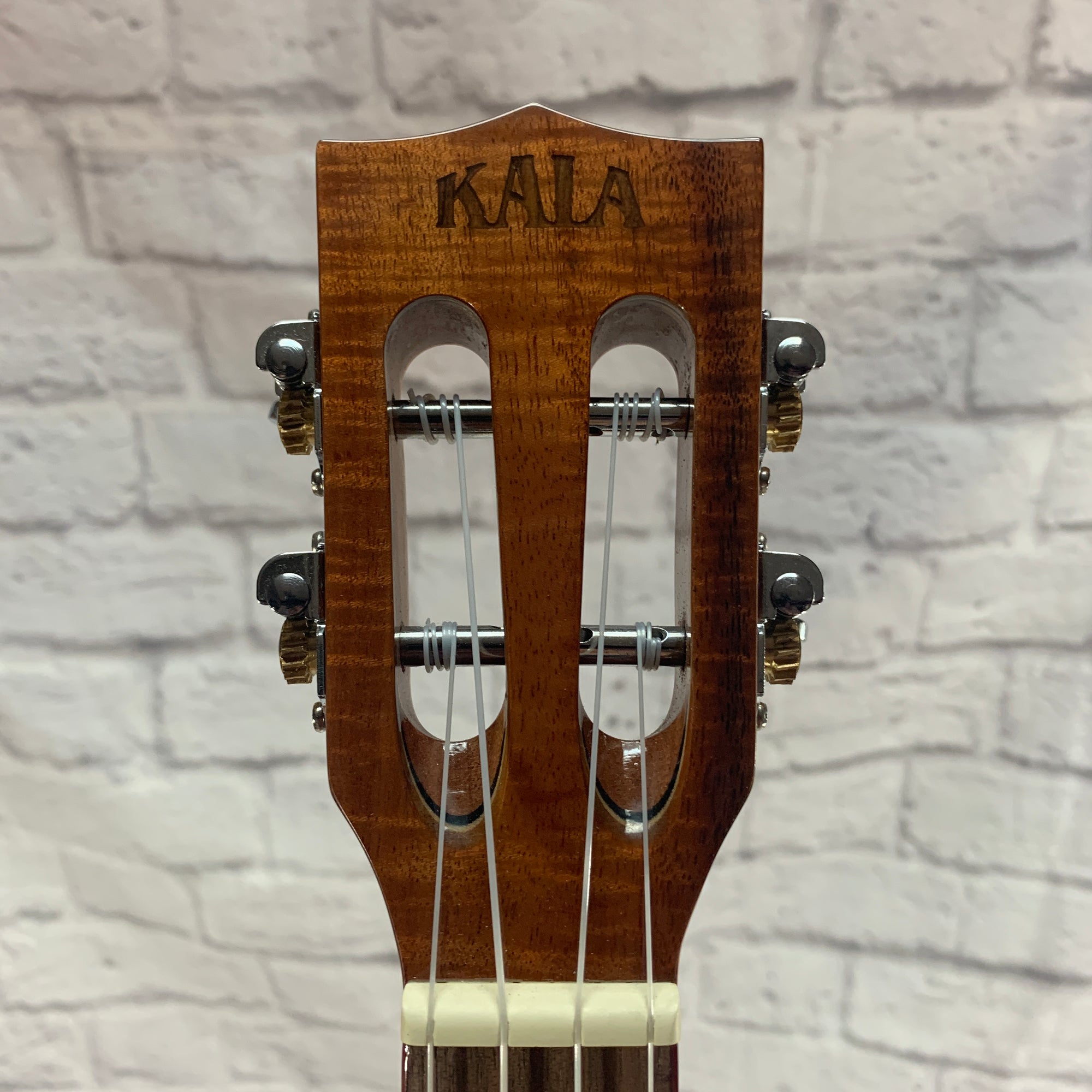 Kala KA-ATP-CTG-CE Cedar Top Tenor Ukulele
