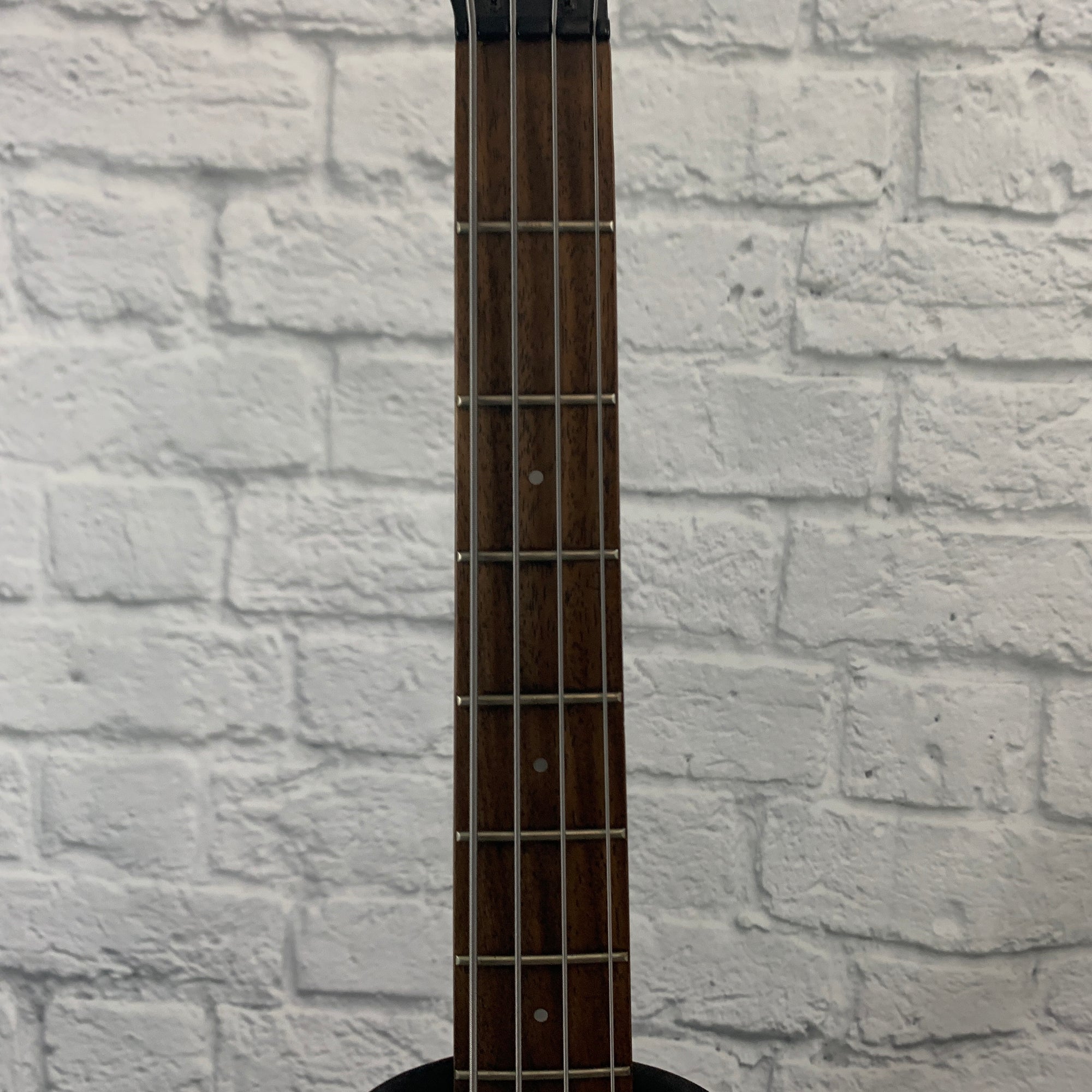 Heavily Customized 4 String Bass Guitar Aria Pro II SLB-2