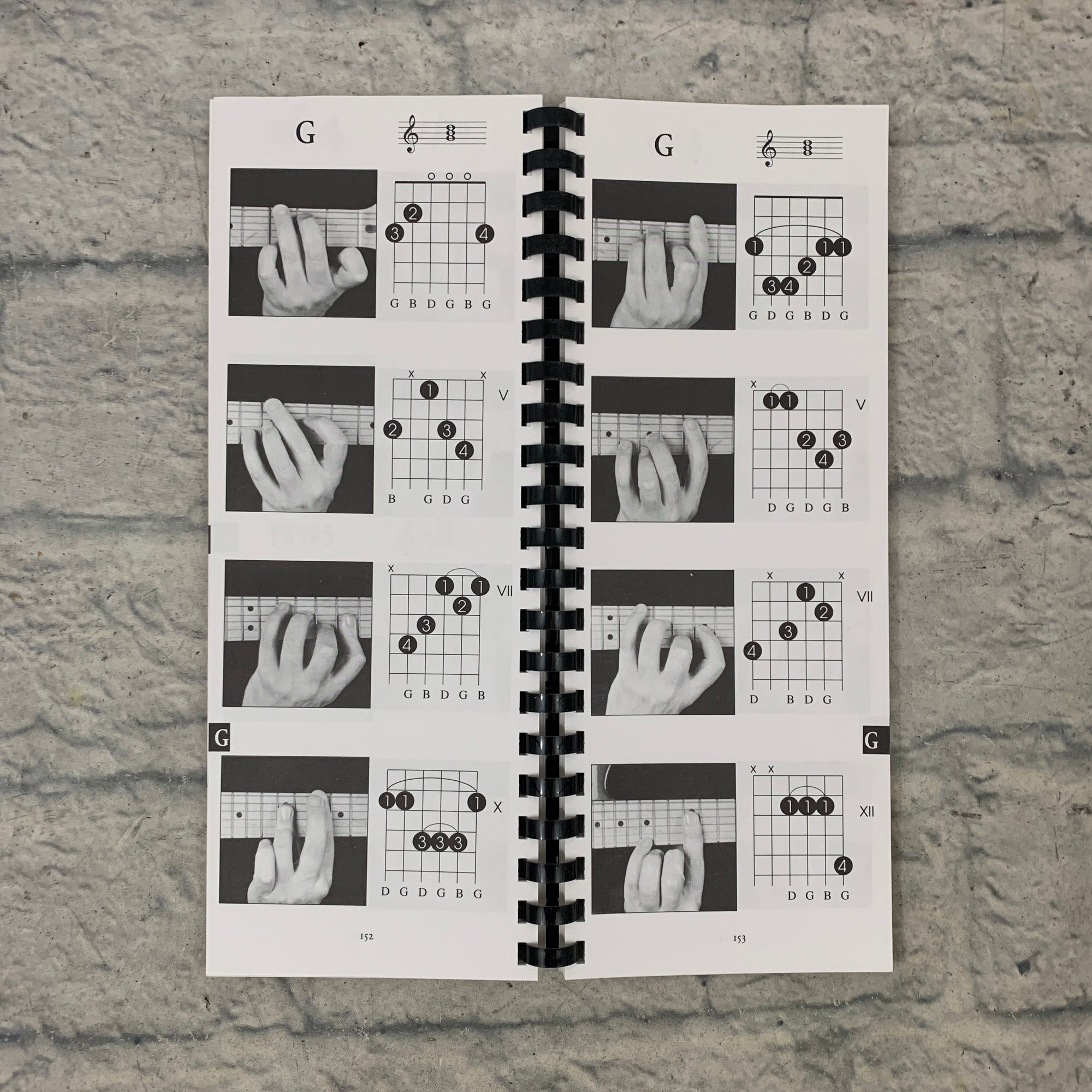 Amsco Gig Bag Book of Picture Guitar Chords