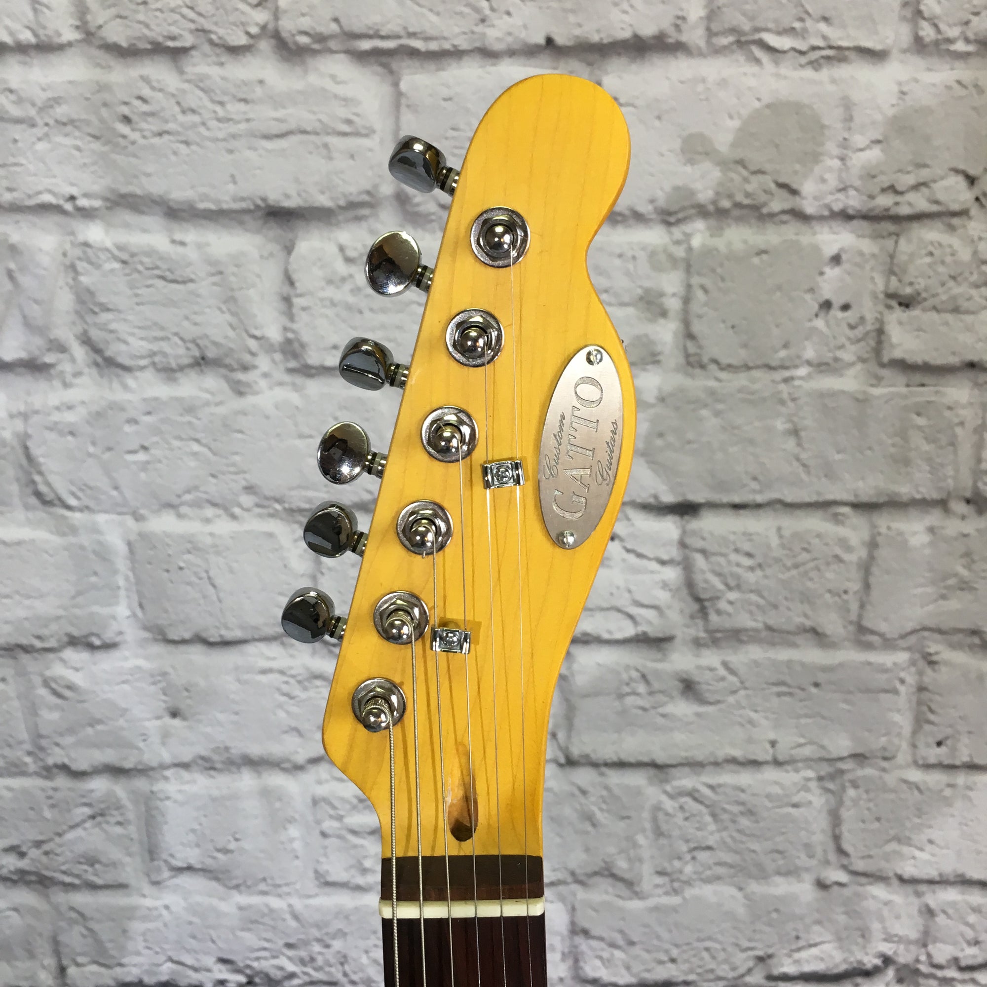 Gatto Tele Style Electric Guitar Trans Black Finish