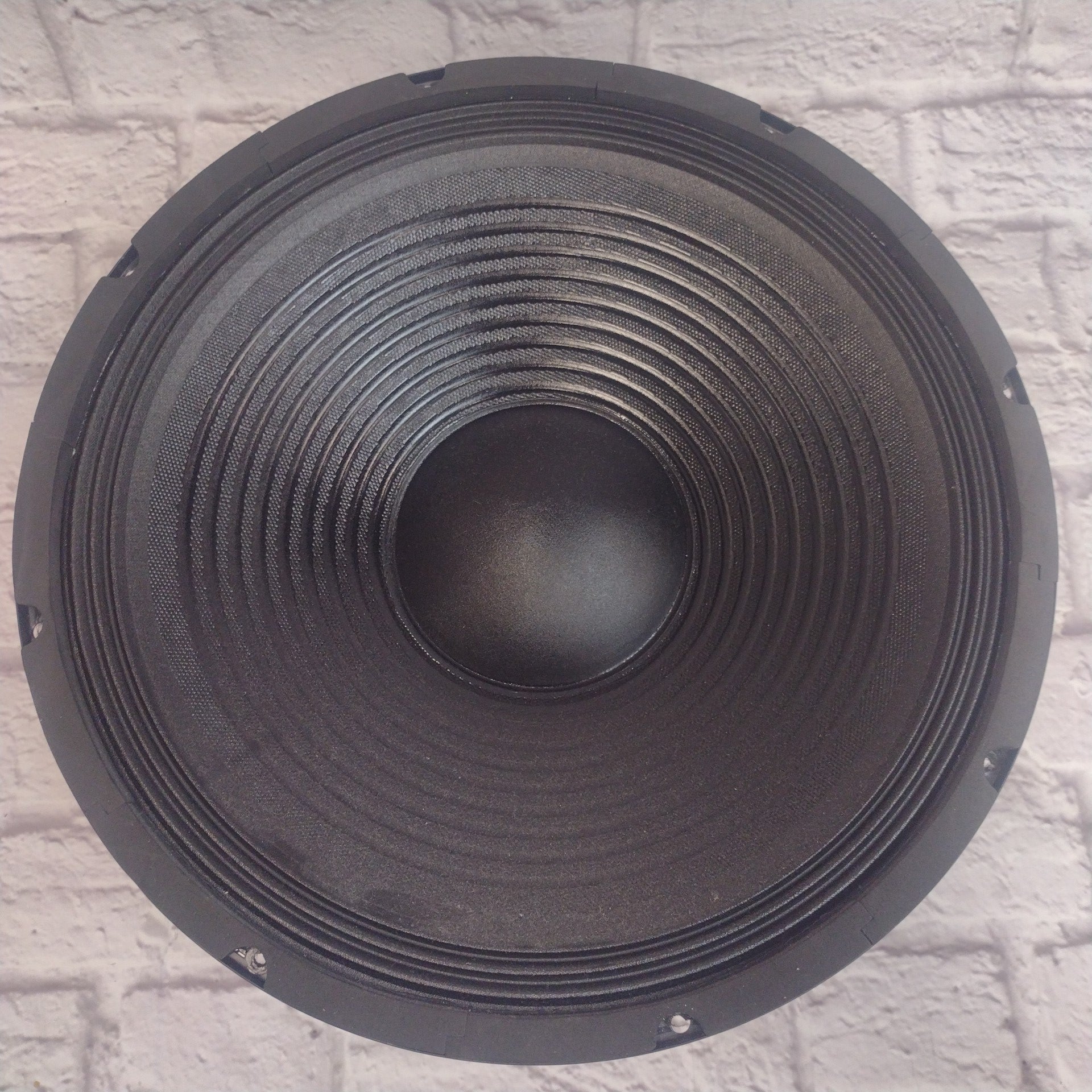 Peavey SPV 15" Speaker