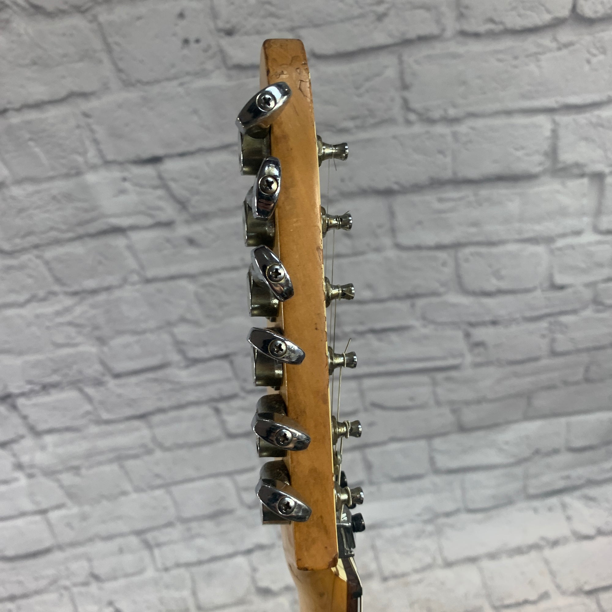 Aria Pro II RS Straycat Solid Body Electric Guitar