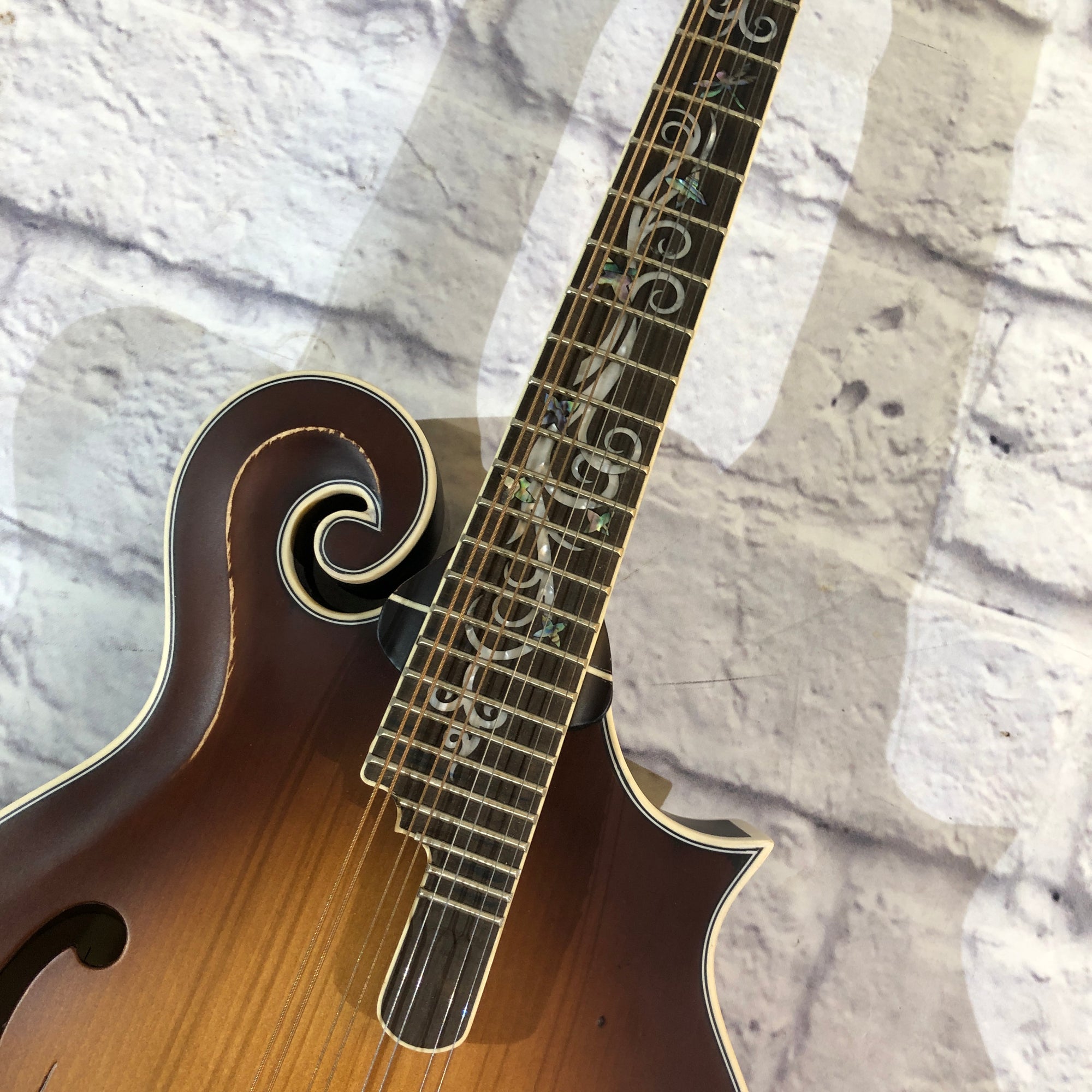 Michael Kelly Legacy Dragonfly F Style Mandolin