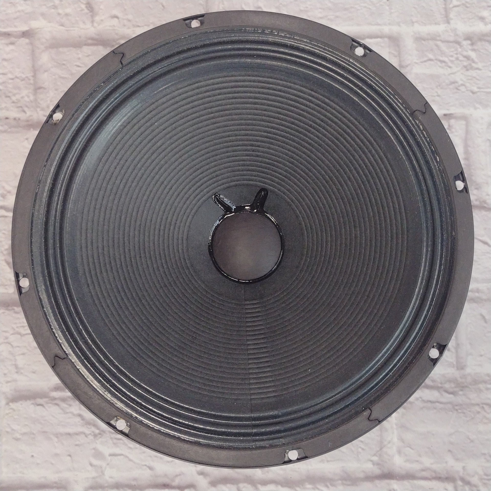 Fender Special Design 12 Speaker