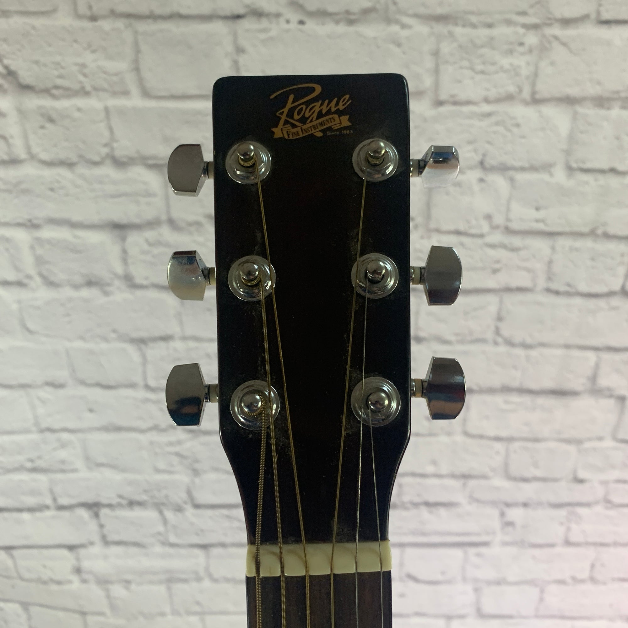Rogue RA-100D Acoustic Guitar
