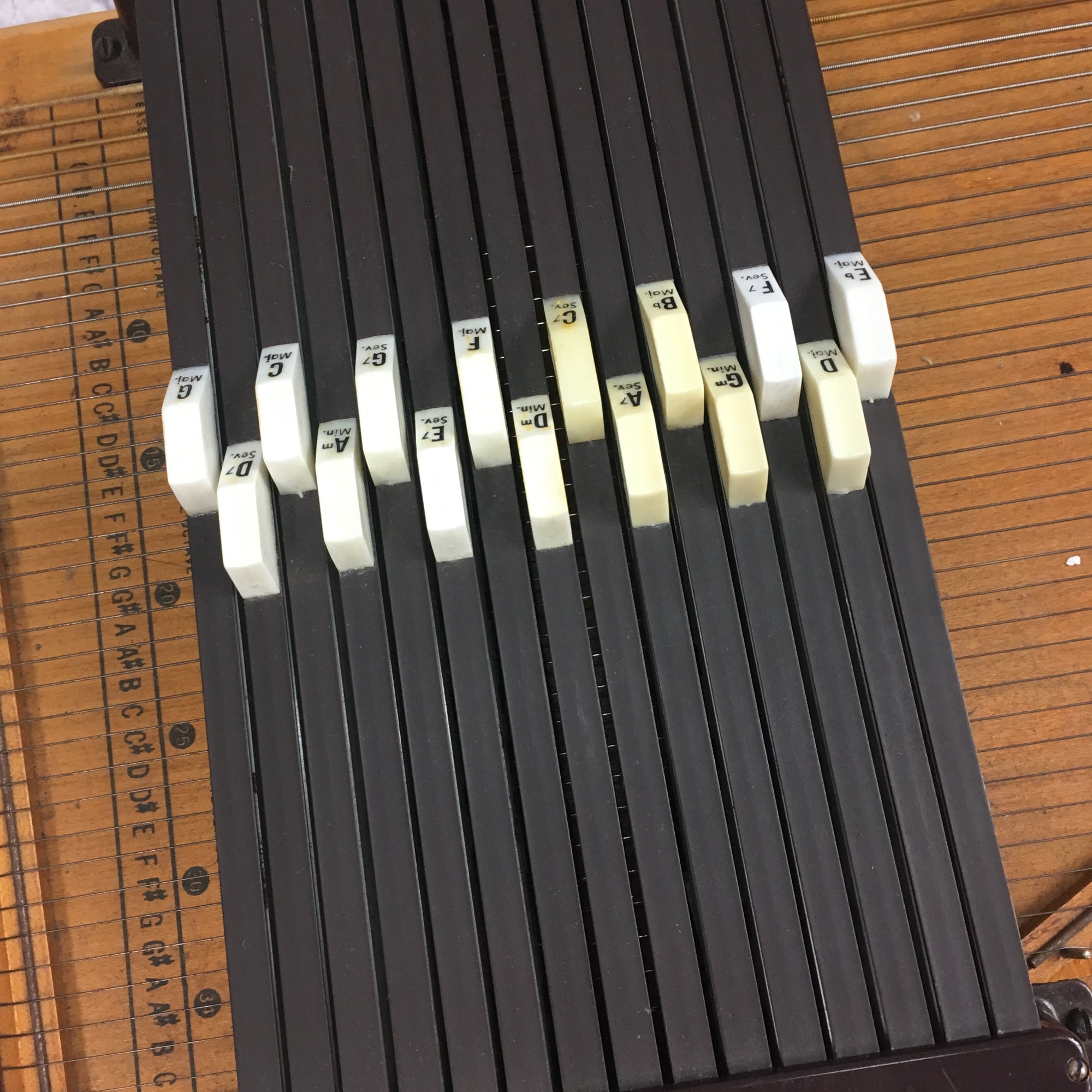 Silvertone by Oscar Schmidt Auto Harp with Case