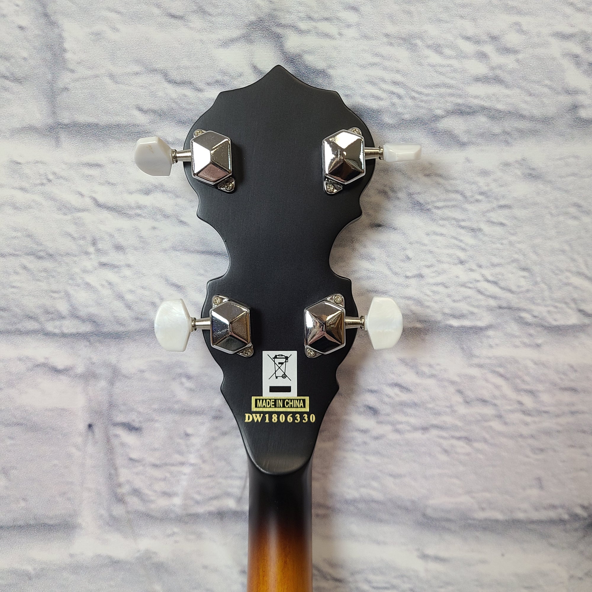 Luna Guitars Celtic 5-String Closed Back Banjo BGB CEL 5