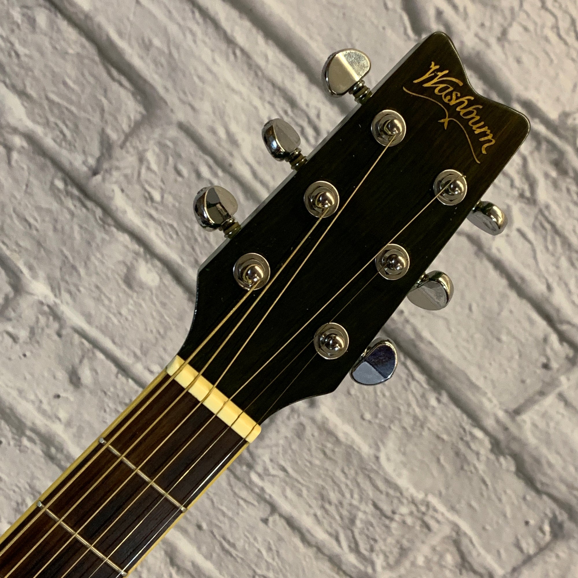 Washburn D-11 TBL Acoustic Guitar
