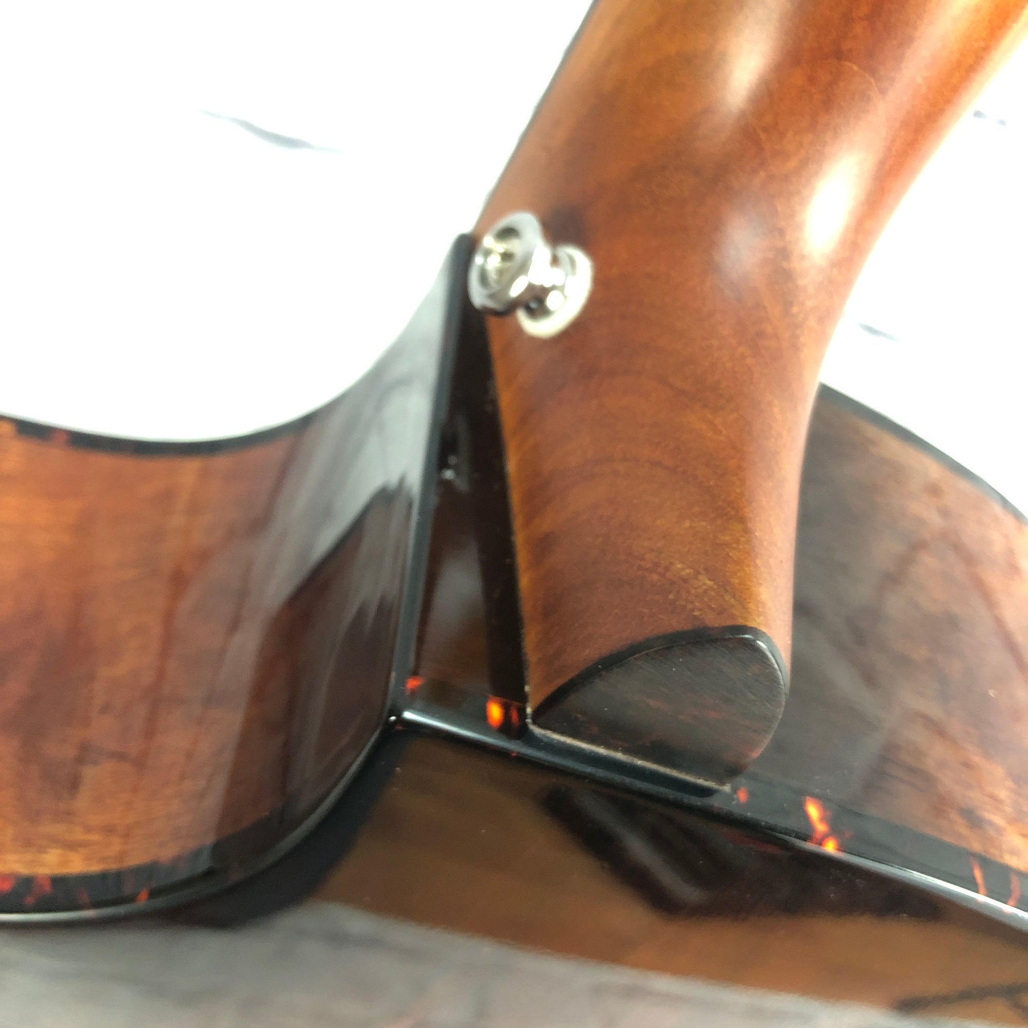 V6/Film V6 act Ⅳ-BALLAD CLIPS and more- PRE-ORDER! JACKSON X SERIES WARRIOR WRX24M FERRARI RED