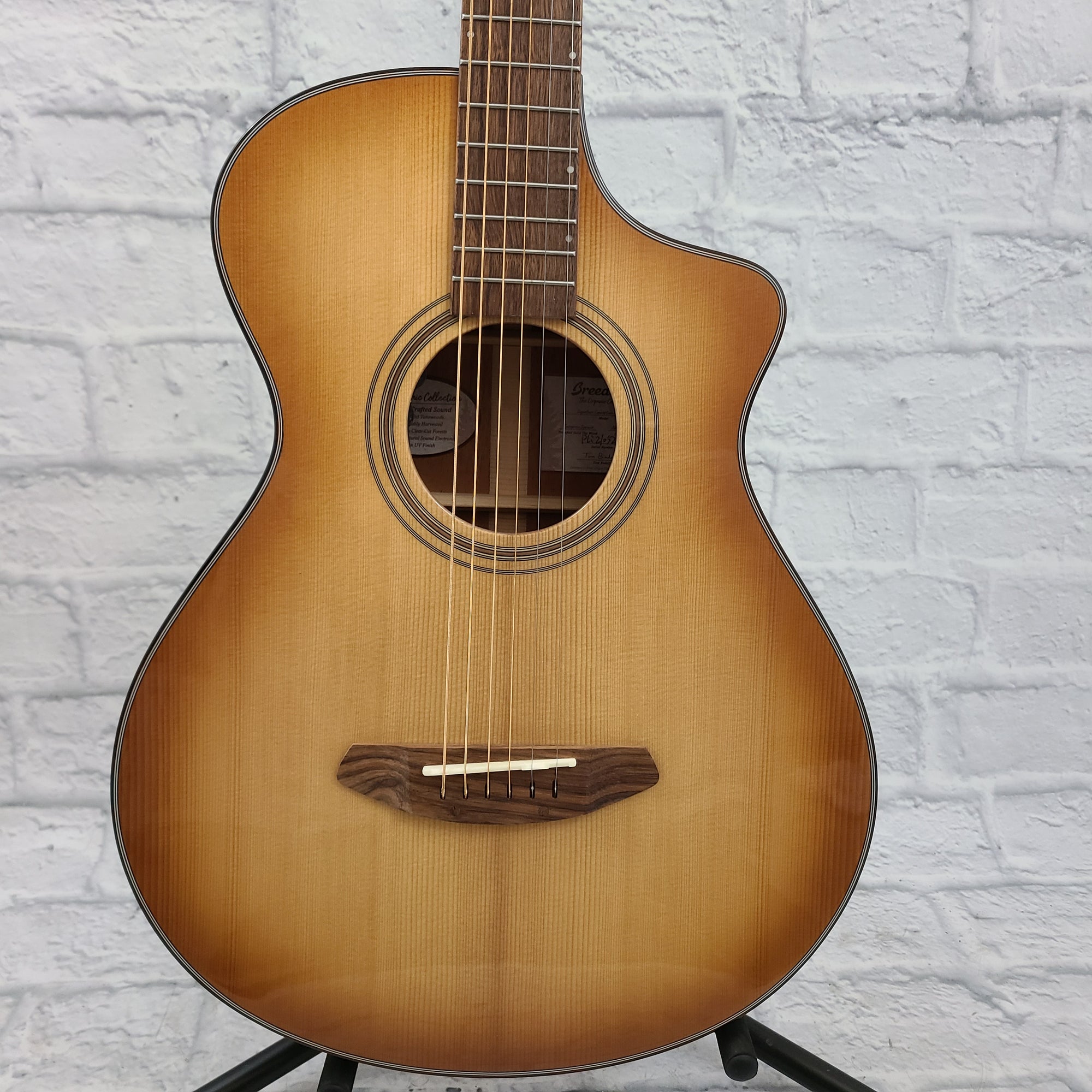 Breedlove Signature Concertina Copper CE