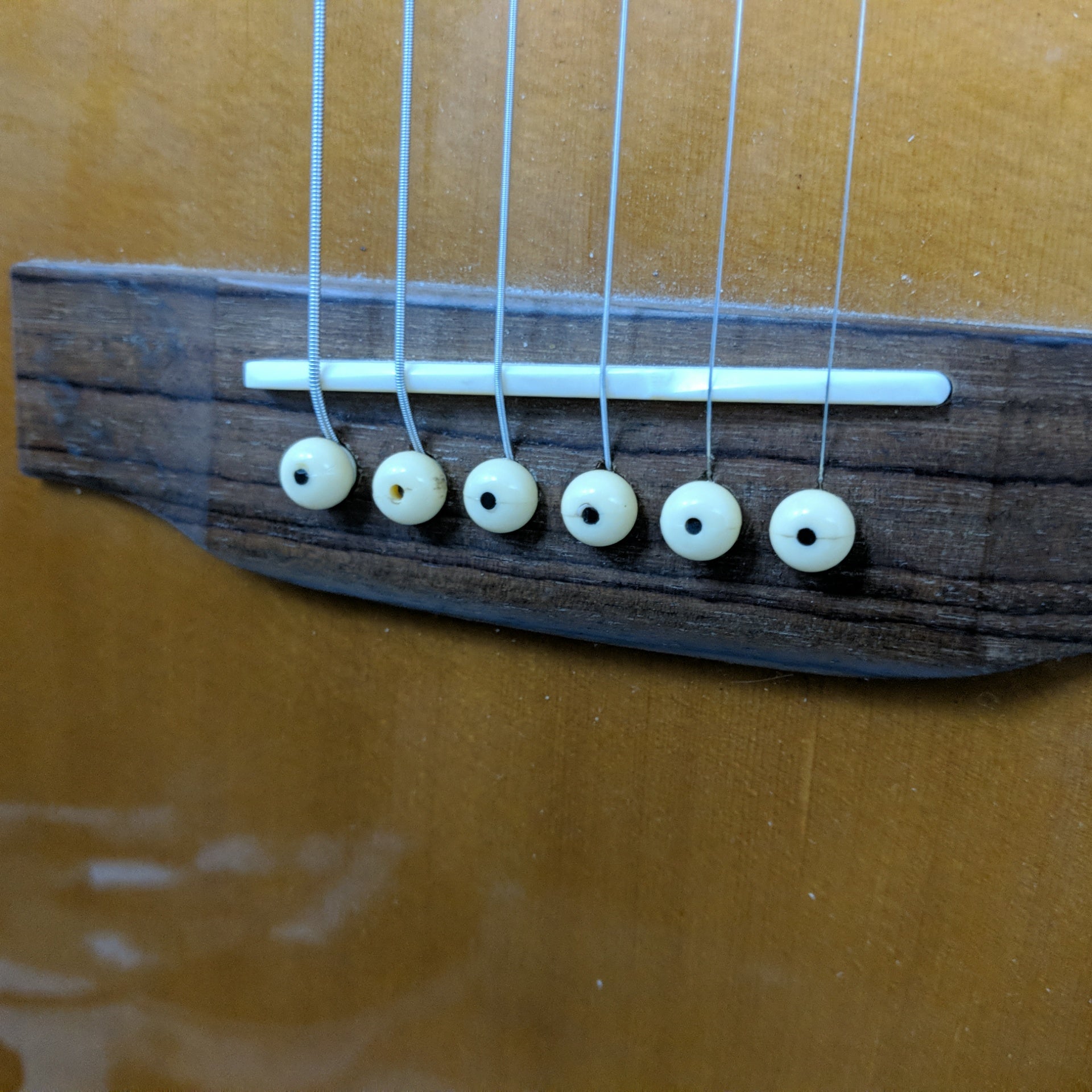 Hofner HAS-05GC Acoustic Guitar