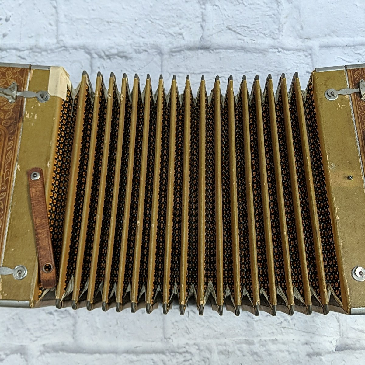 Concertone 20 Key 8 Button Steel Reed Series Button Accordion