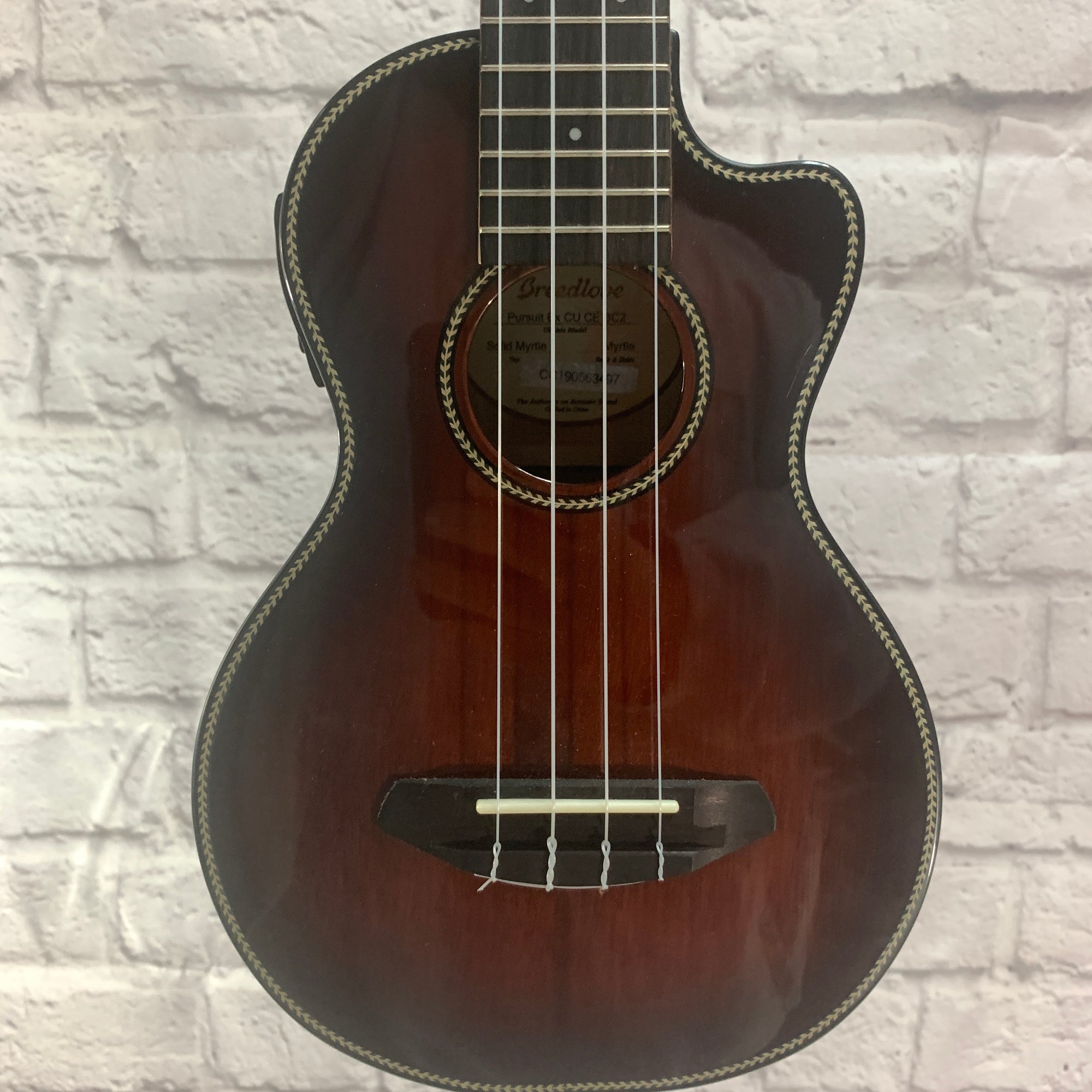 Breedlove Pursuit EX CU CEBC2
