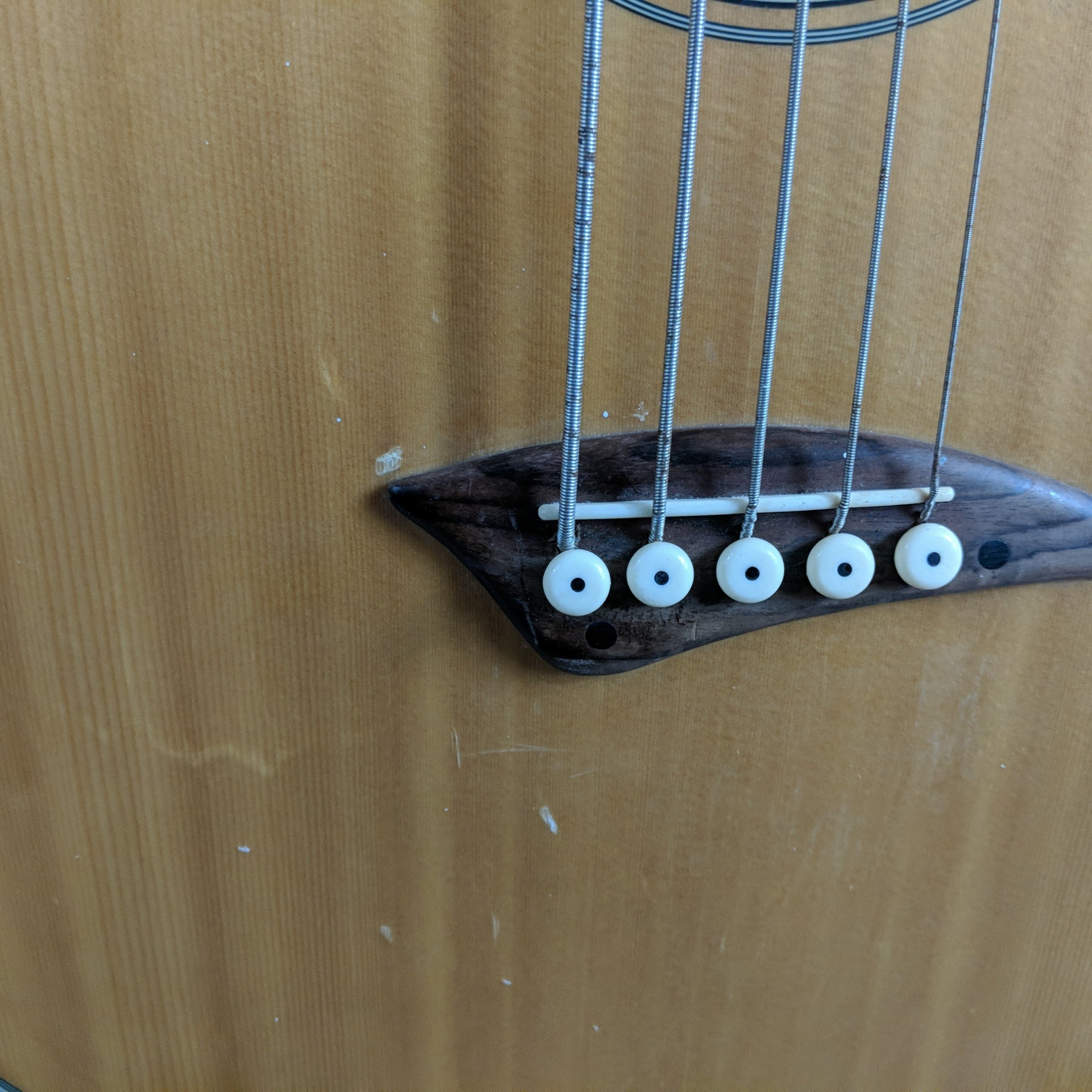 Dean EABC5 5 String Acoustic Bass