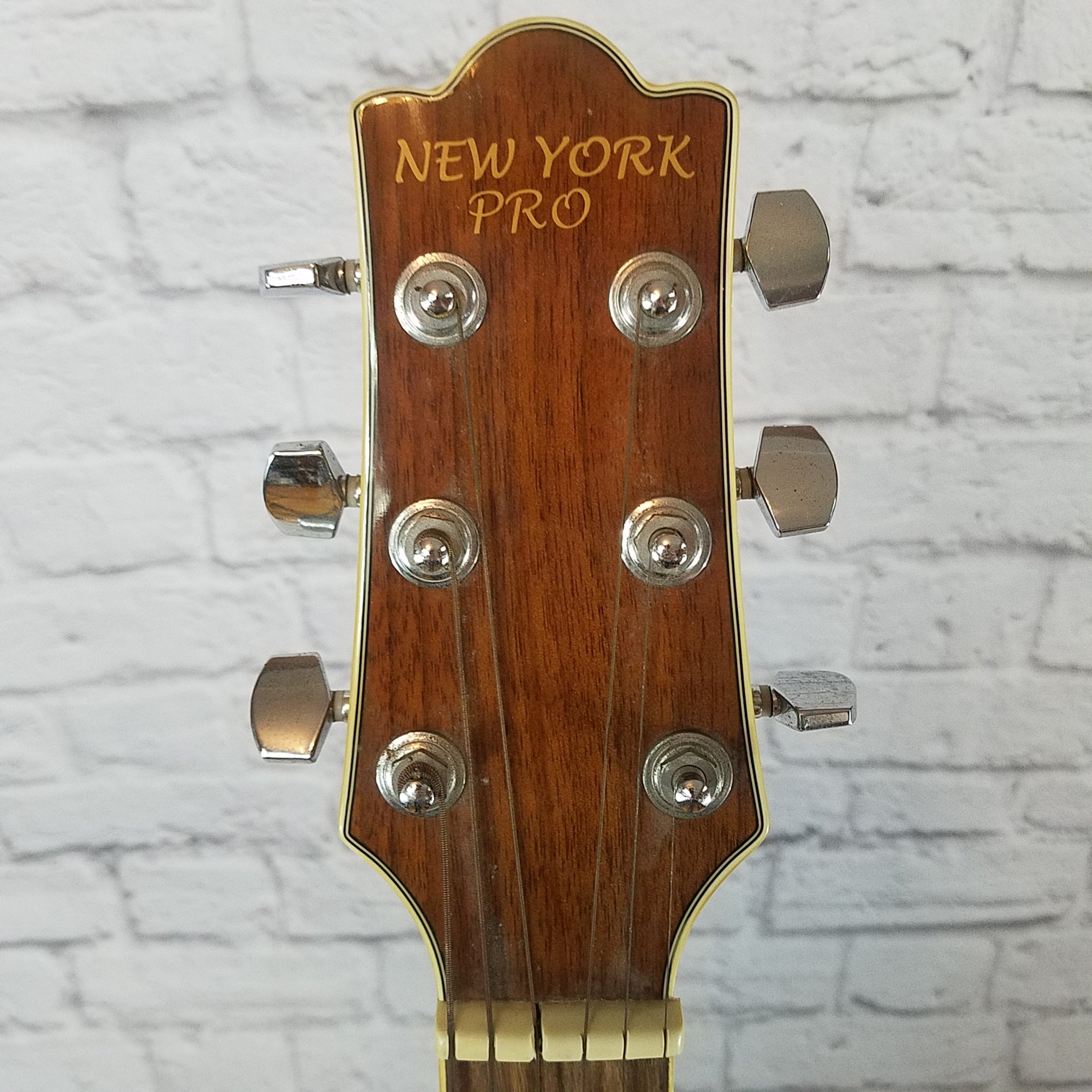 New York Pro NYDG302C (b)/n Acoustic Electric Concert