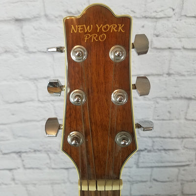 New York Pro NYDG302C (b)/n Acoustic Electric Concert