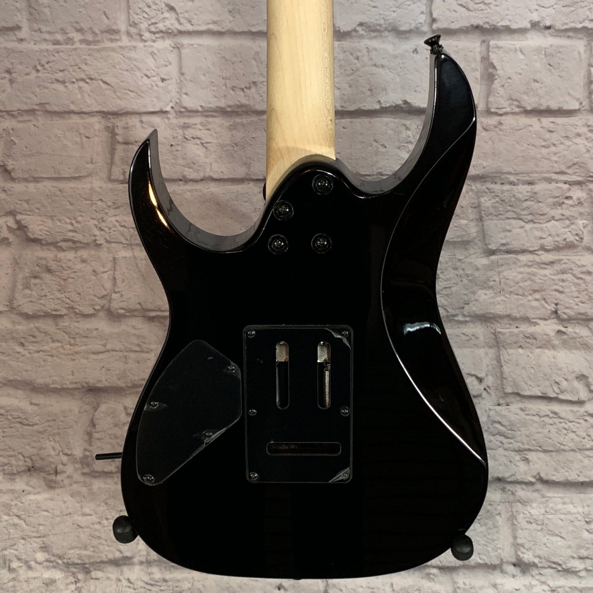 Ibanez GRG120ZW RG Electric Guitar Zebrawood Top - Evolution