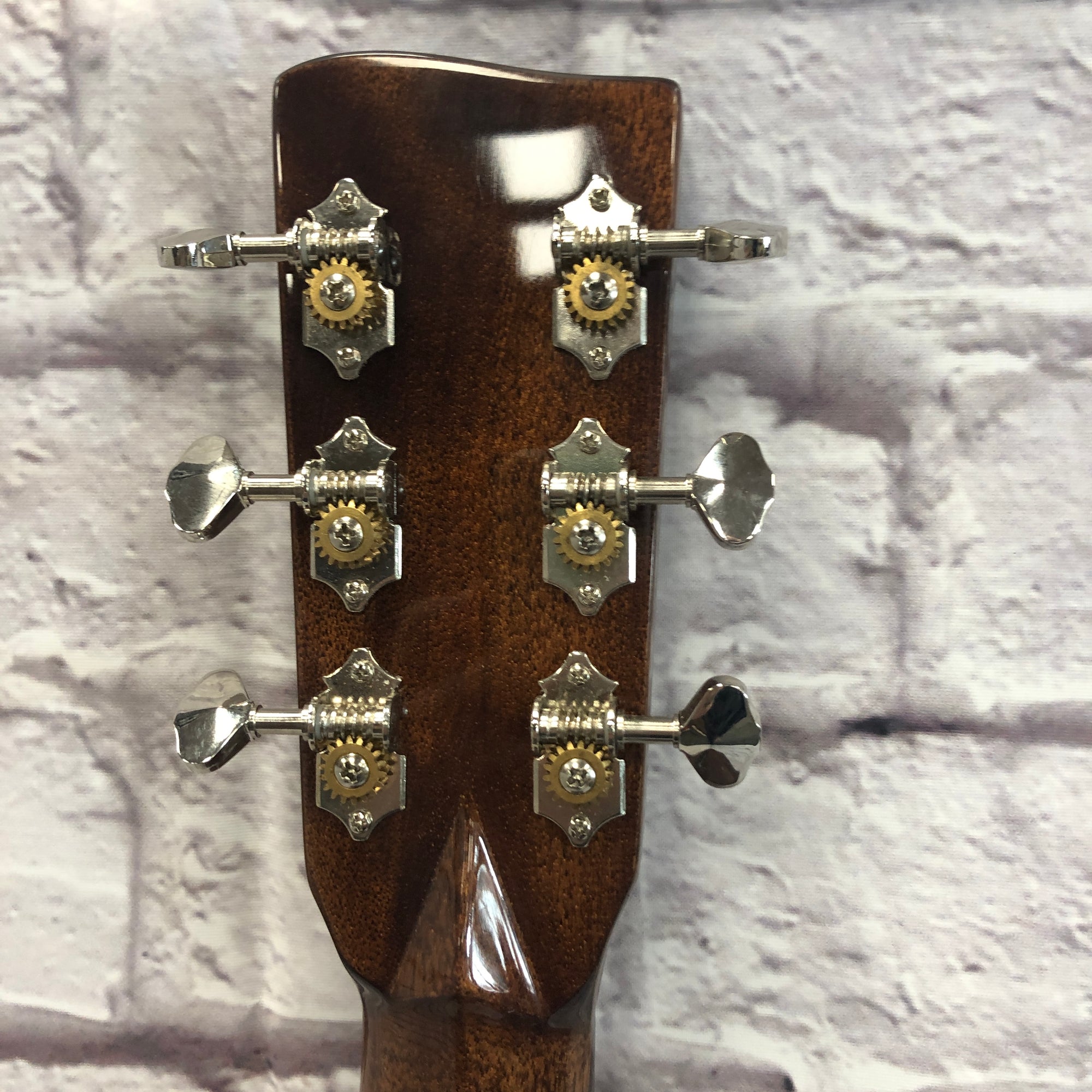 Recording King RD-318 Deluxe Dreadnaught with Padded Bag