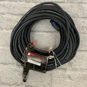 Pro Sound and Stage Lighting 1/4" to Twist Speakon Cable 80ft
