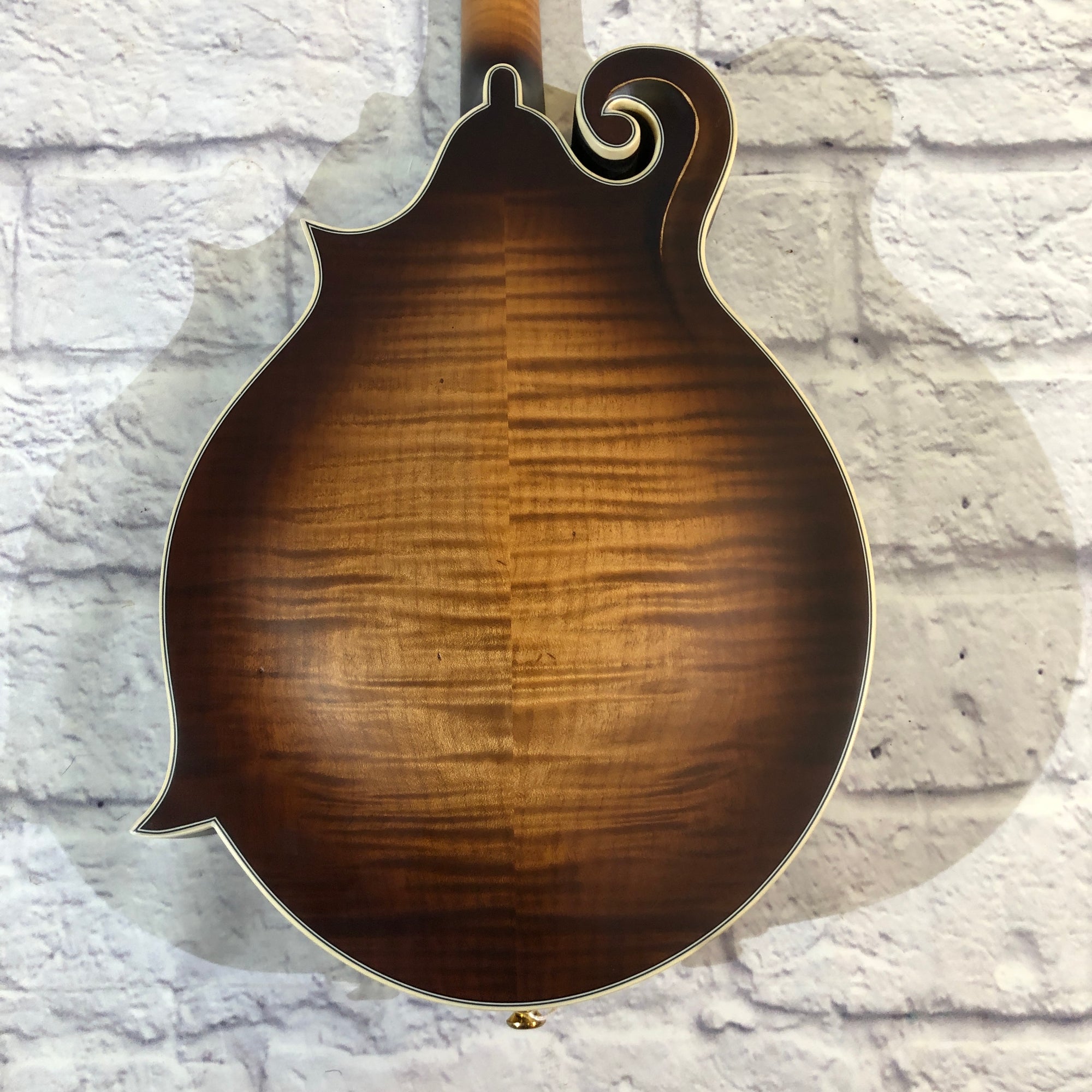 Michael Kelly Legacy Dragonfly F Style Mandolin