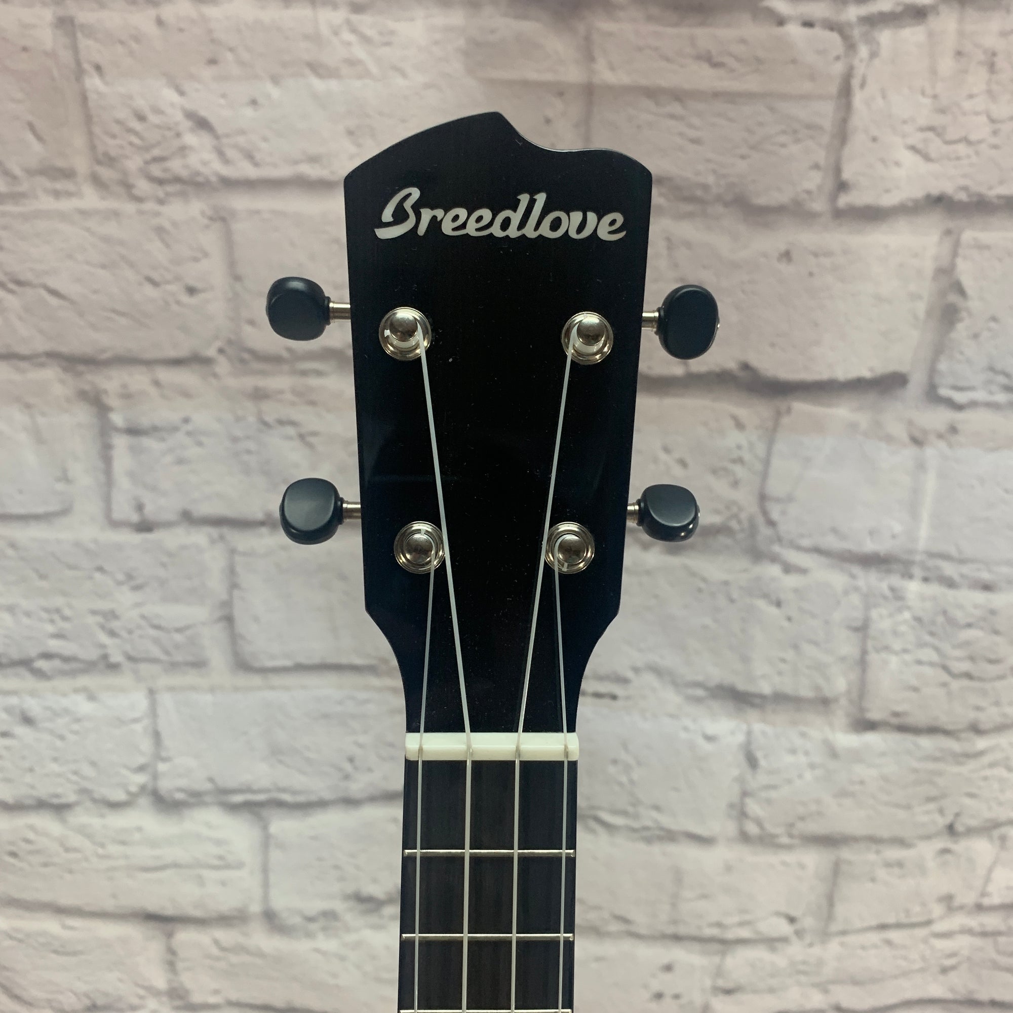 Breedlove Ex Cu Ce Bo Concert Ukuele