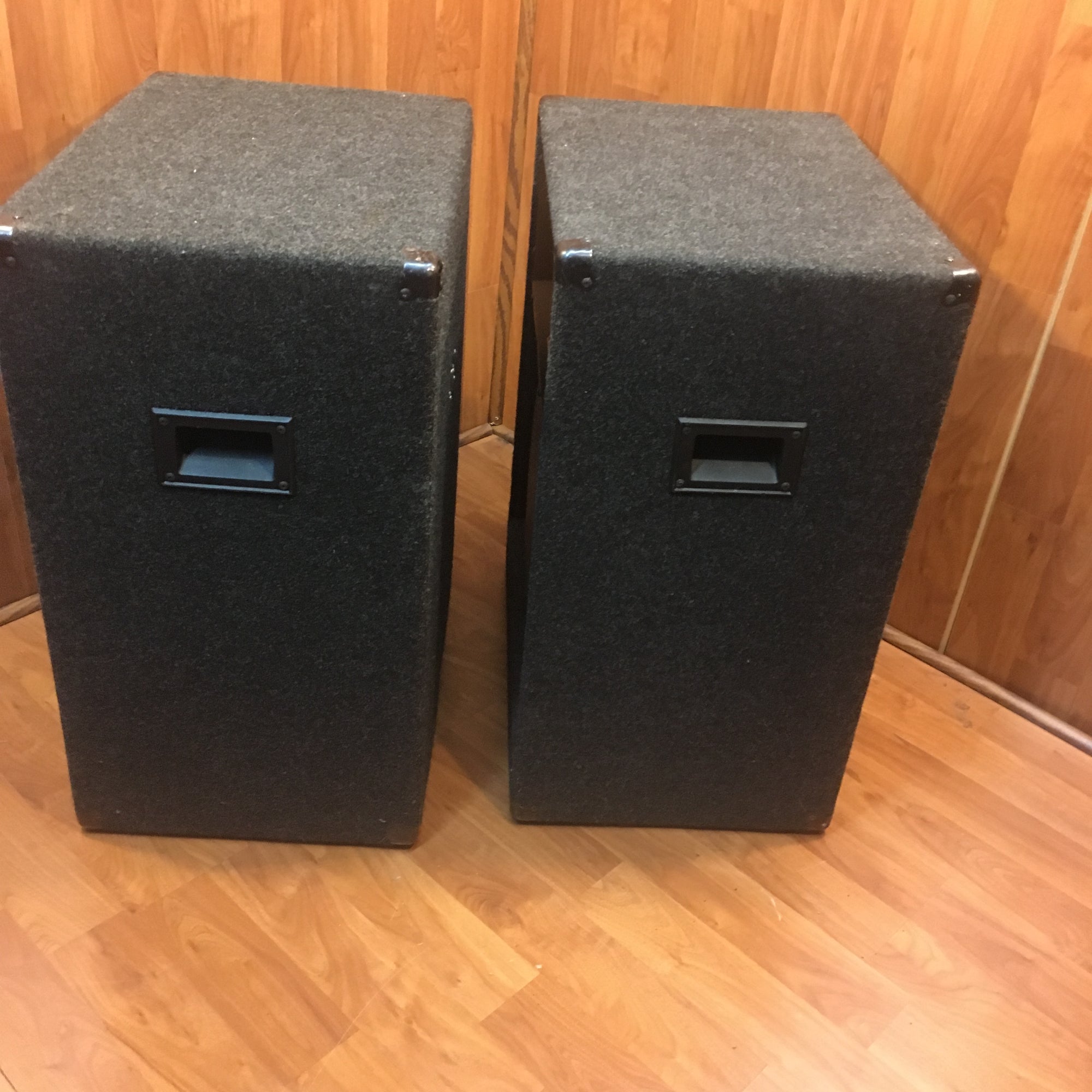 Sonic 15in + Tweeter Passive Speakers (1 blown)