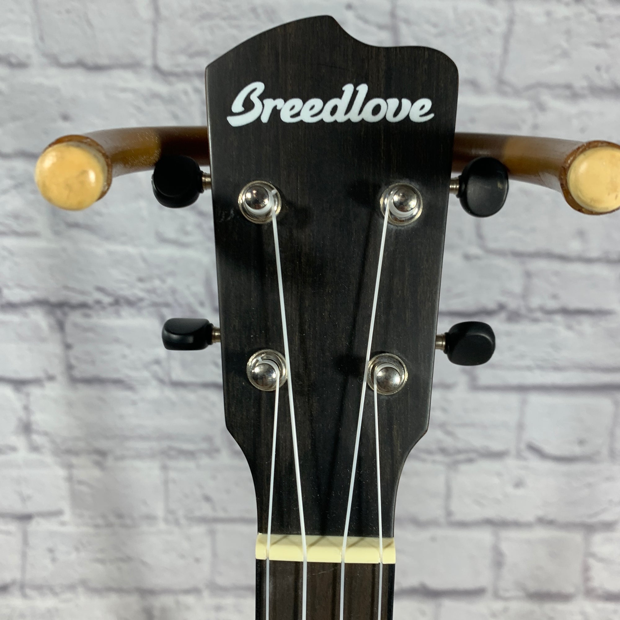 Breedlove EX S Tenor Uke TE CE Ukulele