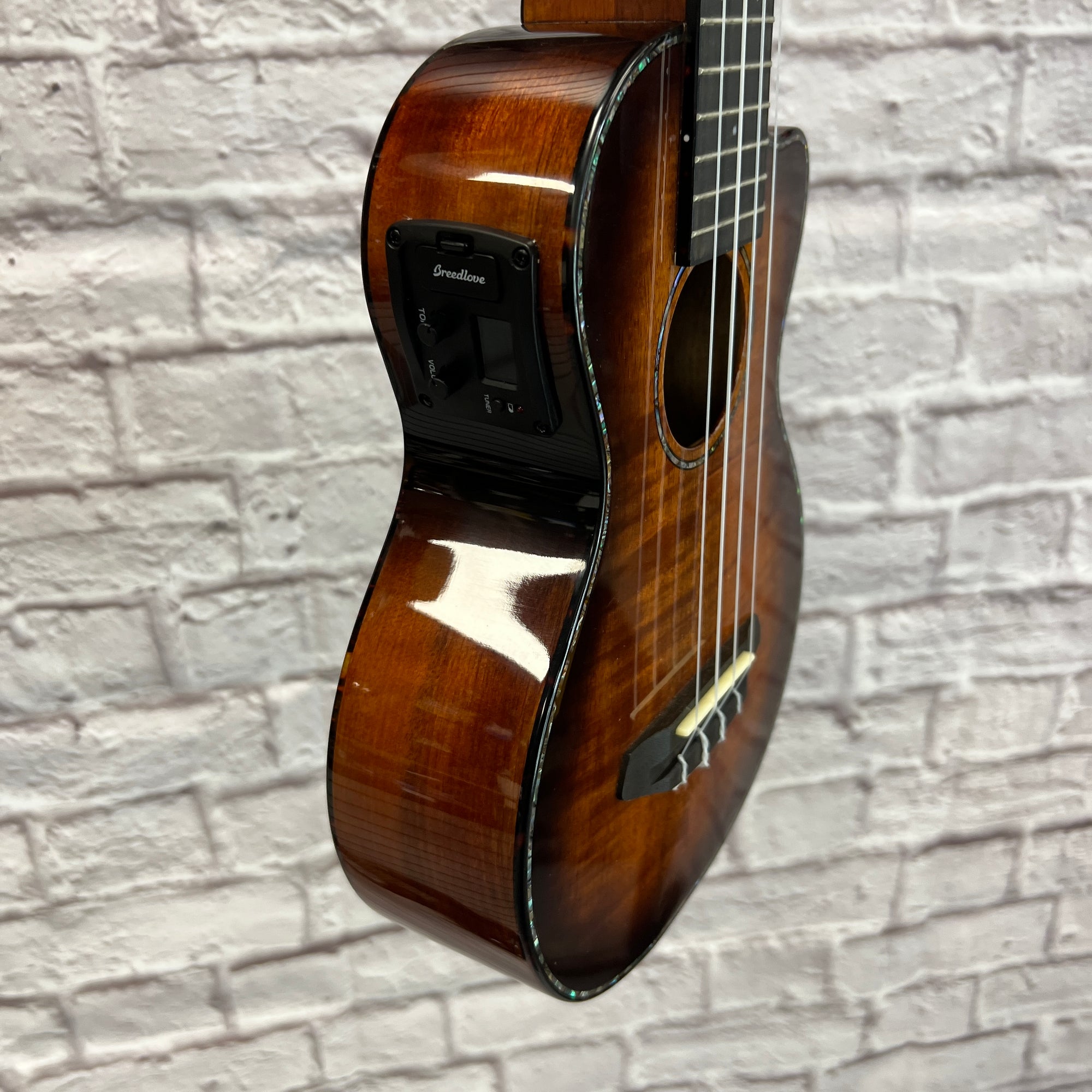 Breedlove Pursuit Ex CU CE BO Ukuleles