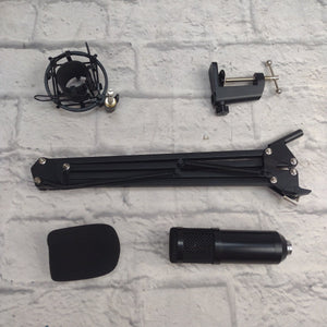Unknown Condenser Microphone with Shock Mount and Flex Arm Stand