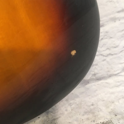 Squier Stratocaster Affinity Series Left-Handed Electric Guitar Sunburst