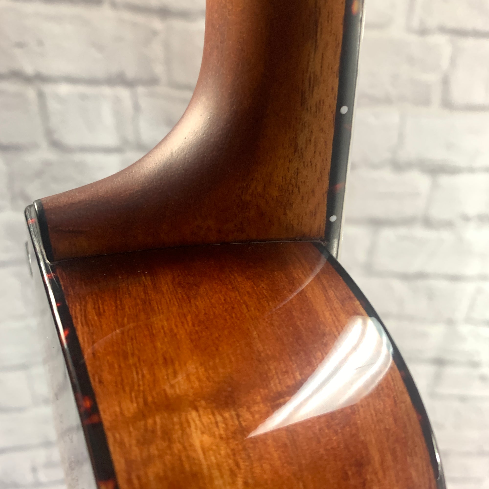 Breedlove Ex Cu Ce Bo Concert Acoustic Electric Ukulele