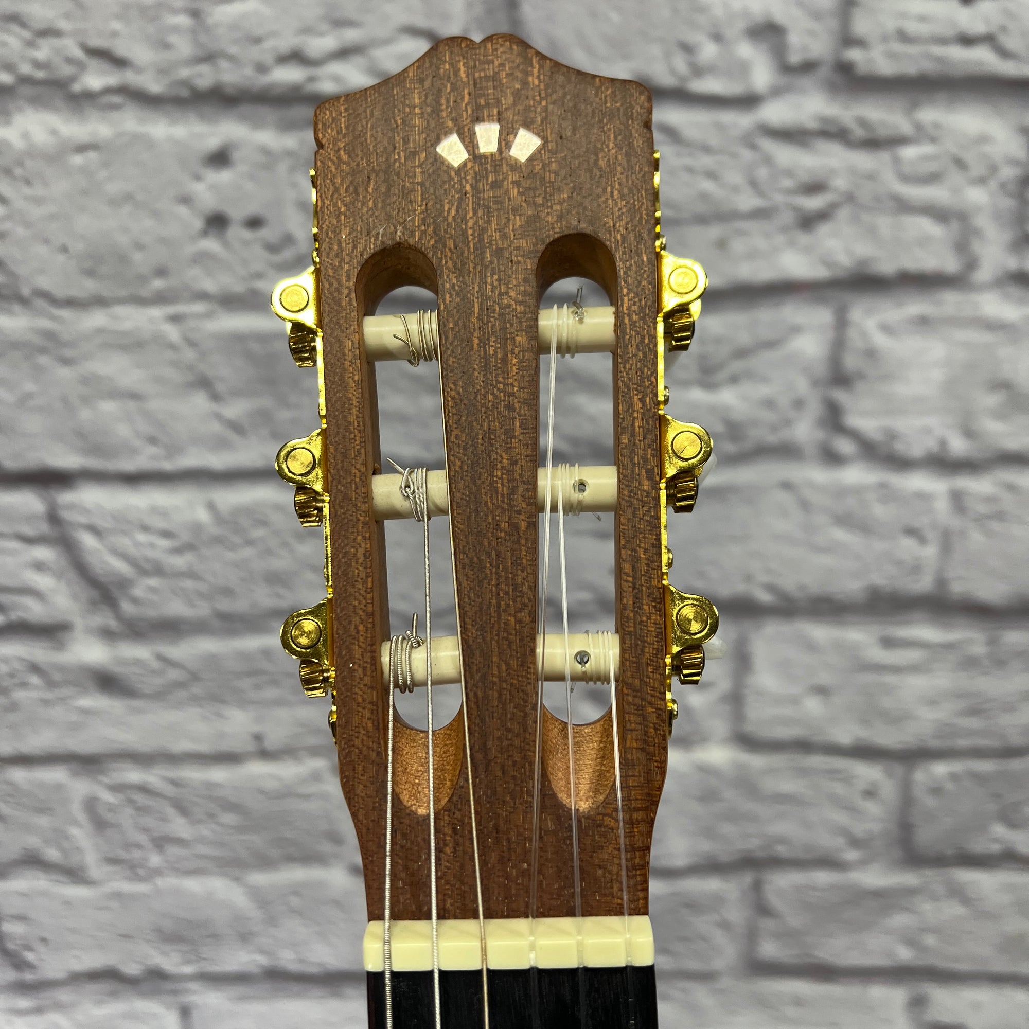 Protege C1M Full Size Classical Acoustic Guitar