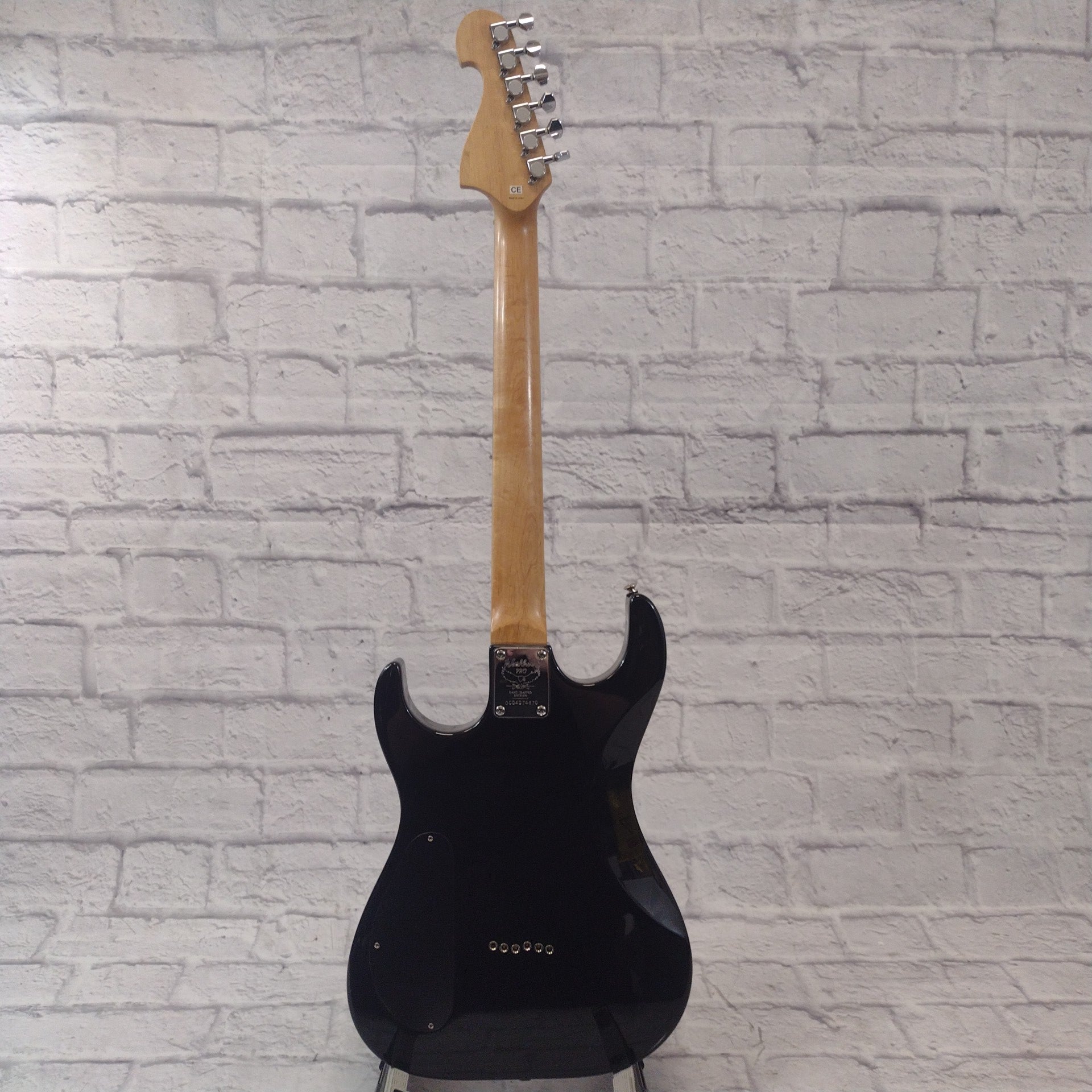 Washburn X Series Skull Graphic Electric Guitar - Evolution