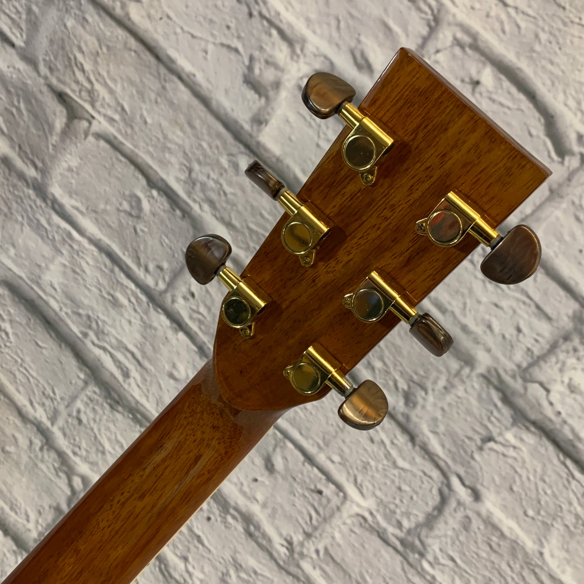 Ventura V4NAT Solid Top Dreadnought Acoustic Guitar