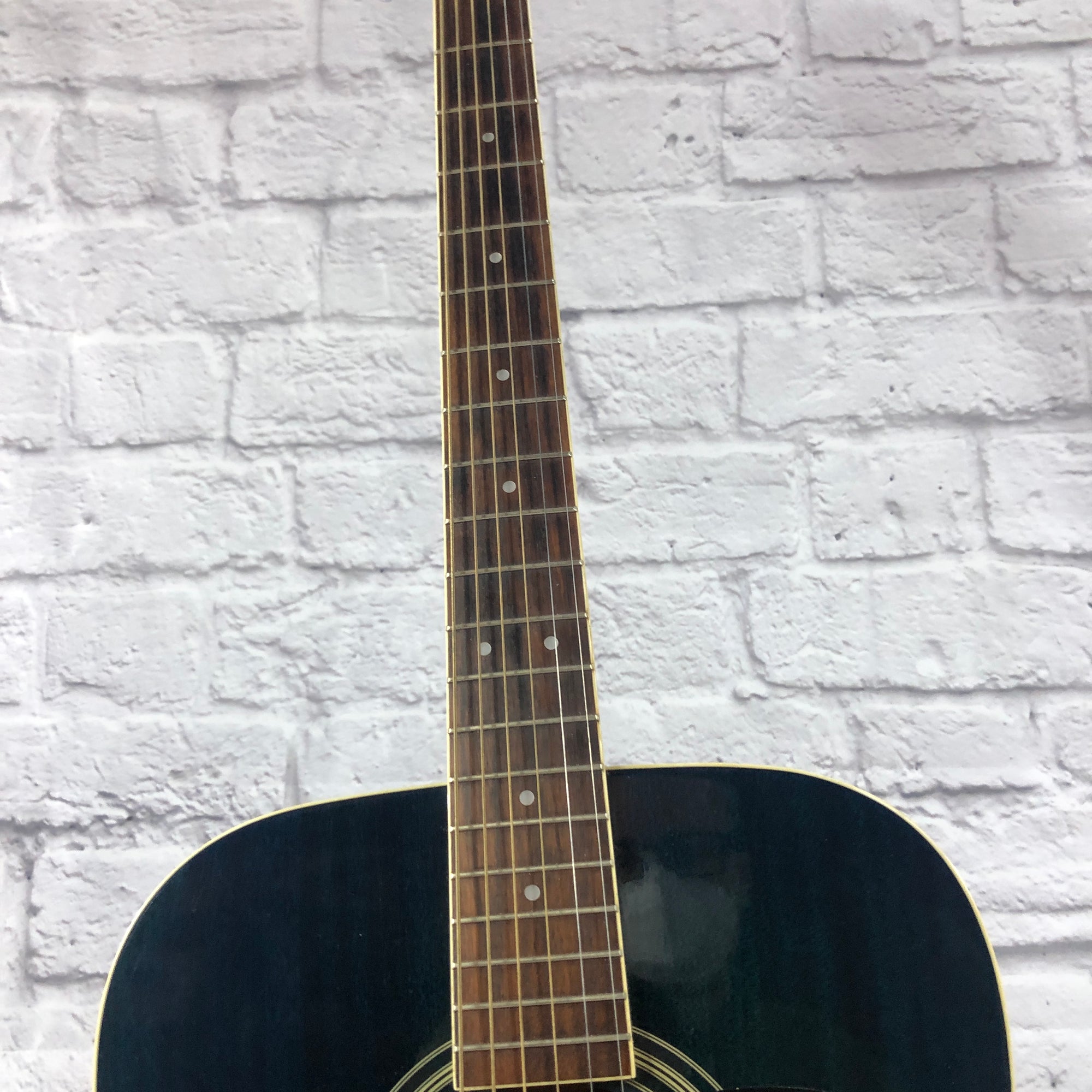 Walden D310SUW Acoustic Guitar