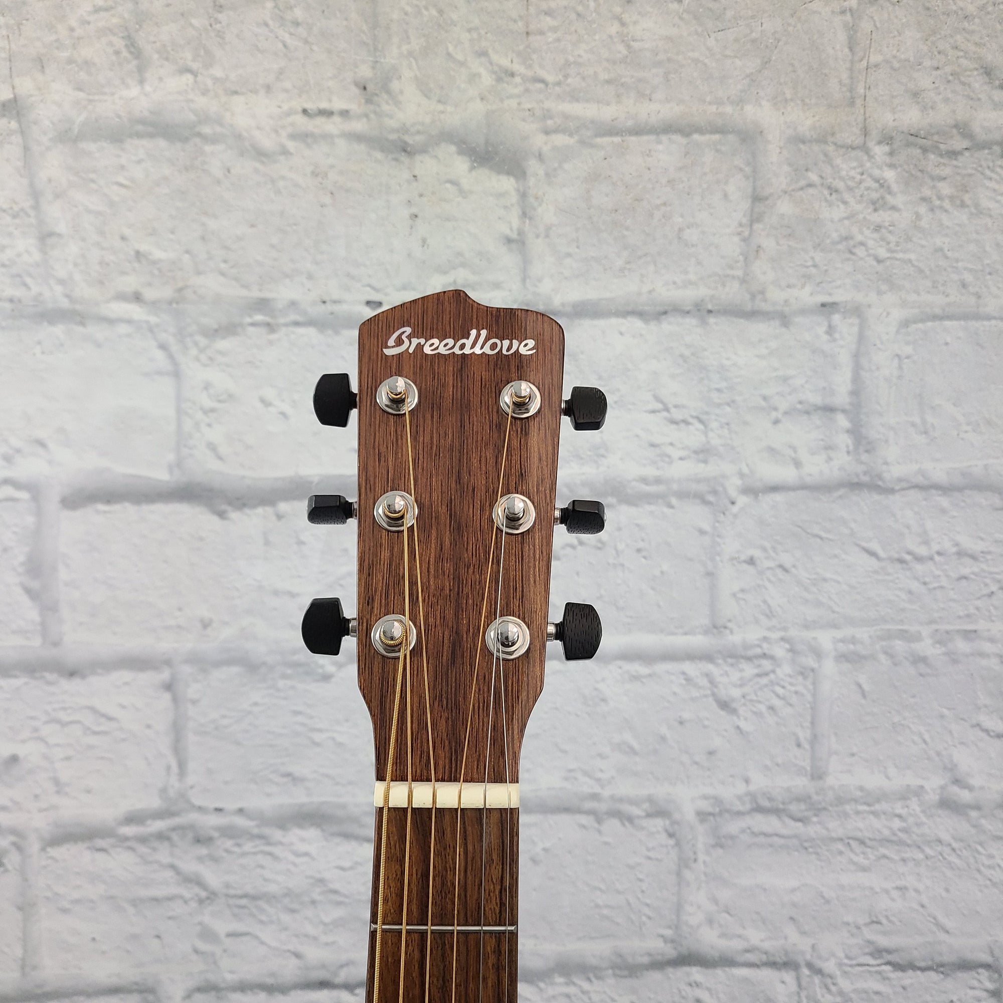 Breedlove Signature Concertina Copper CE