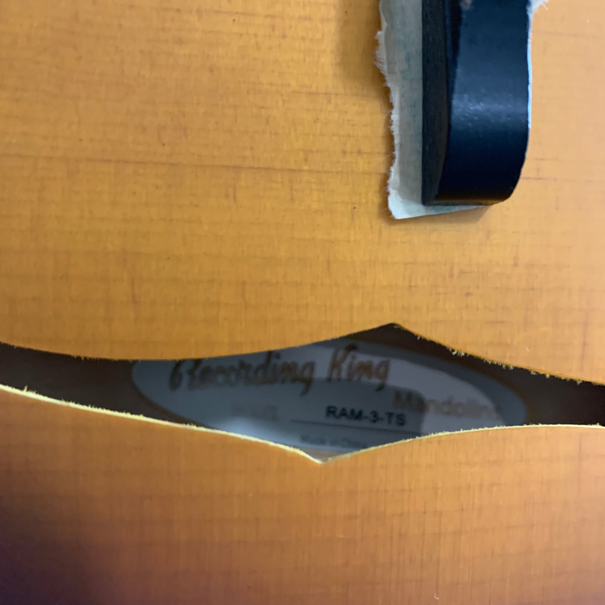 Recording King RAM-3-TS Mandolin