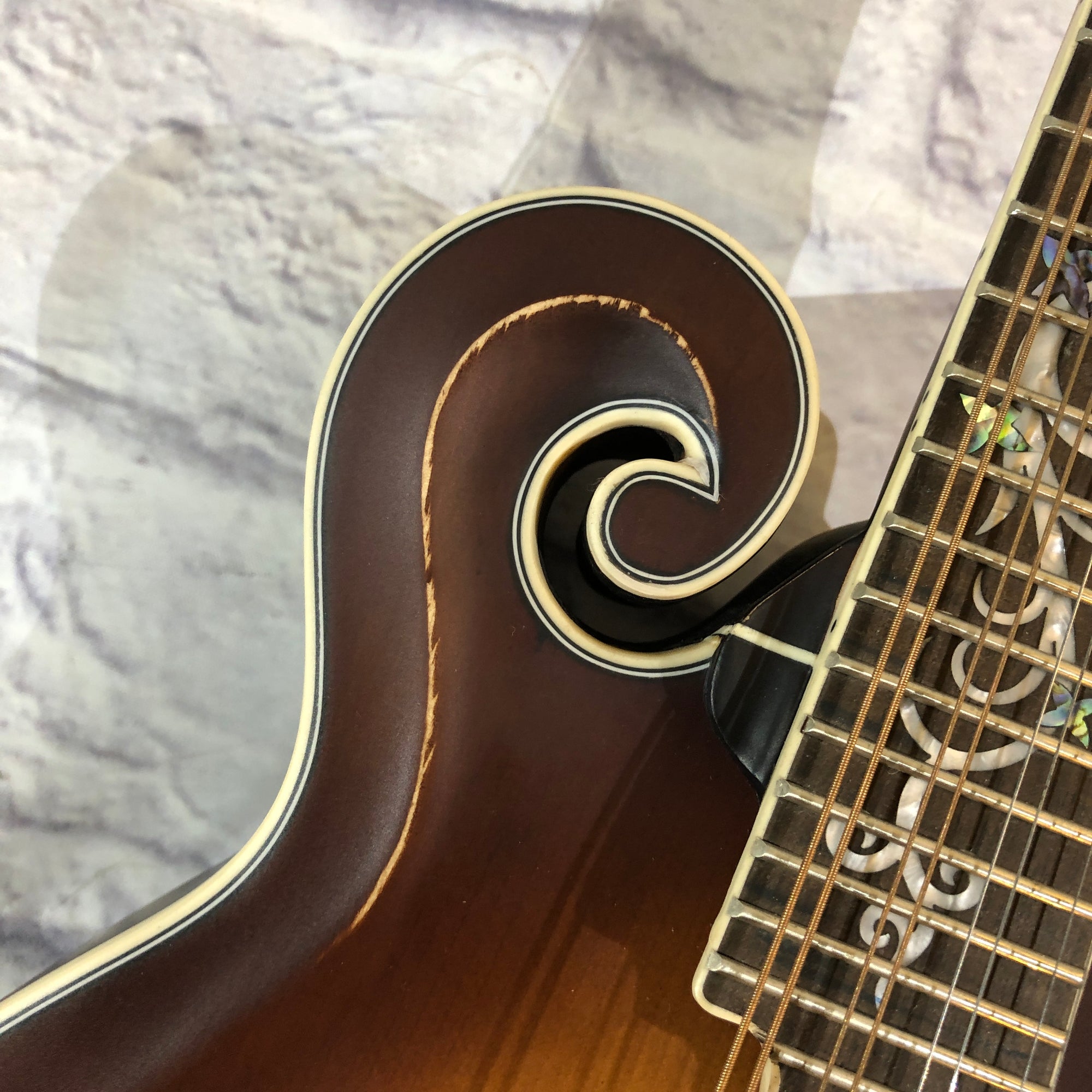 Michael Kelly Legacy Dragonfly F Style Mandolin