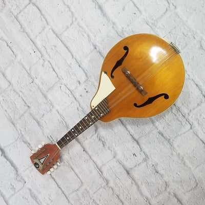 Vintage Kay 8 String Mandolin w/ Bag
