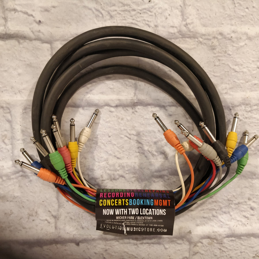 Snake Cable (1/4" TS x 8) 10 Feet