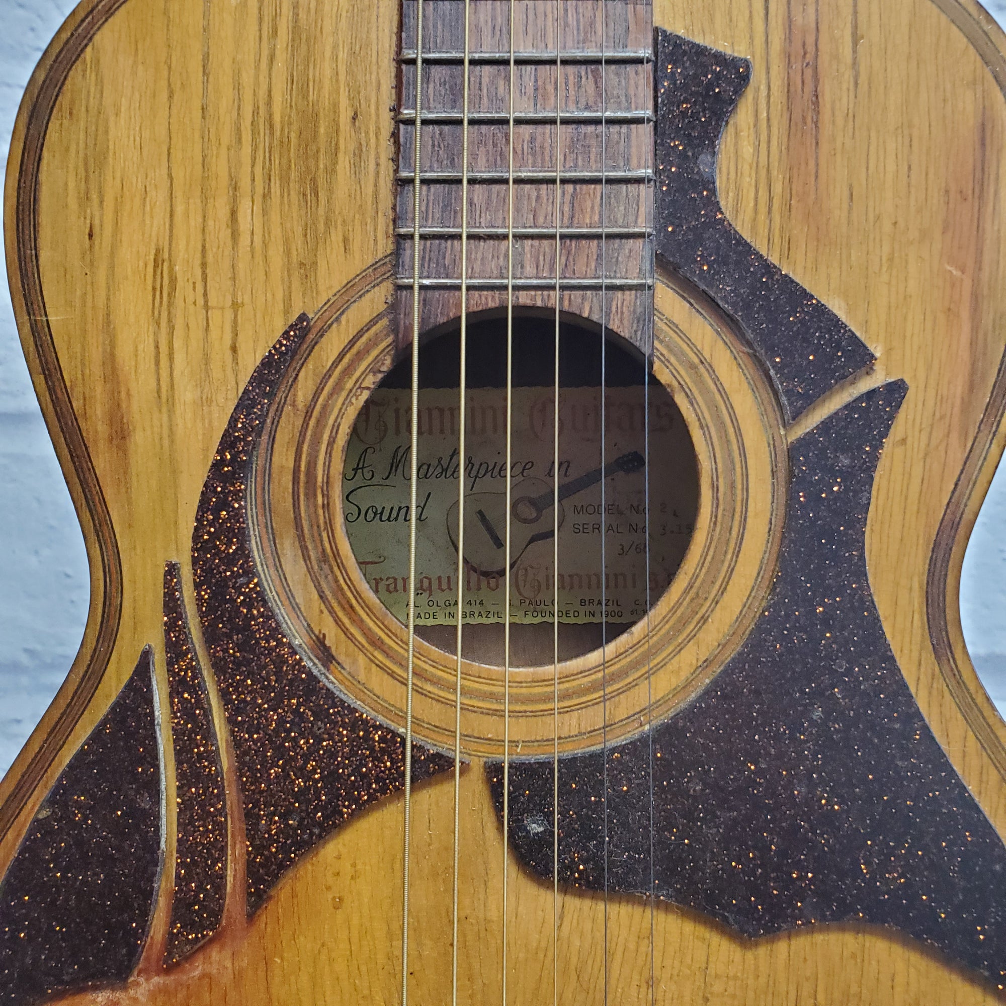Giannini 2 Acoustic Guitar