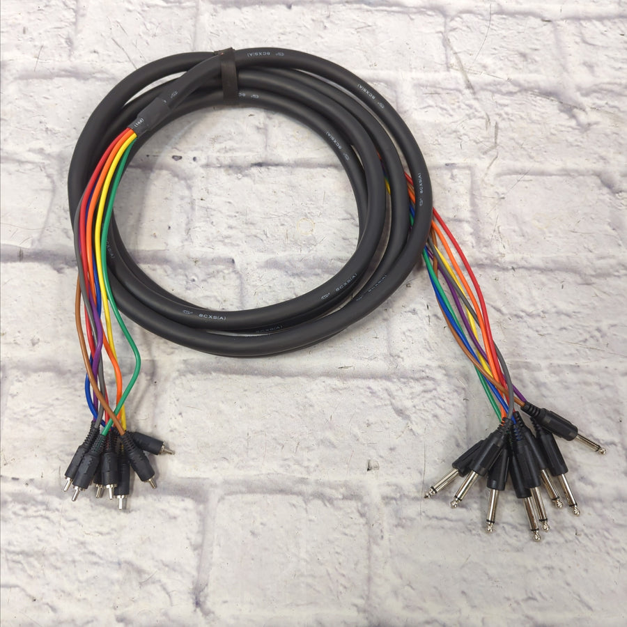 TTL 8CXS(A) 8-Channel Unbalanced Recording Snake 1/4 in TS to RCA 12 Foot