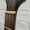 Telestar 5 String Tenor  Banjo Project with Case